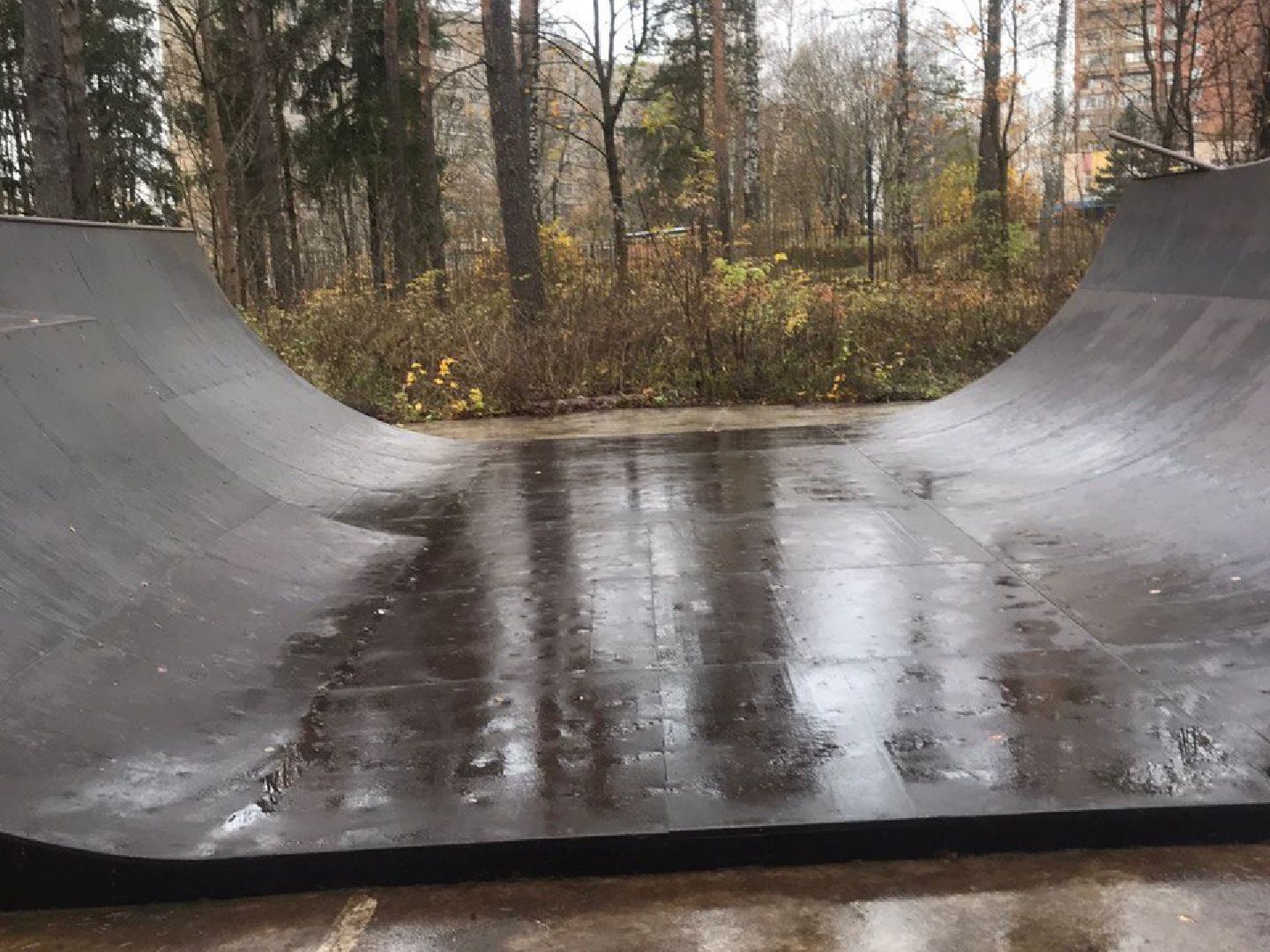 Черноголовка, план добрых дел, уборка листы,