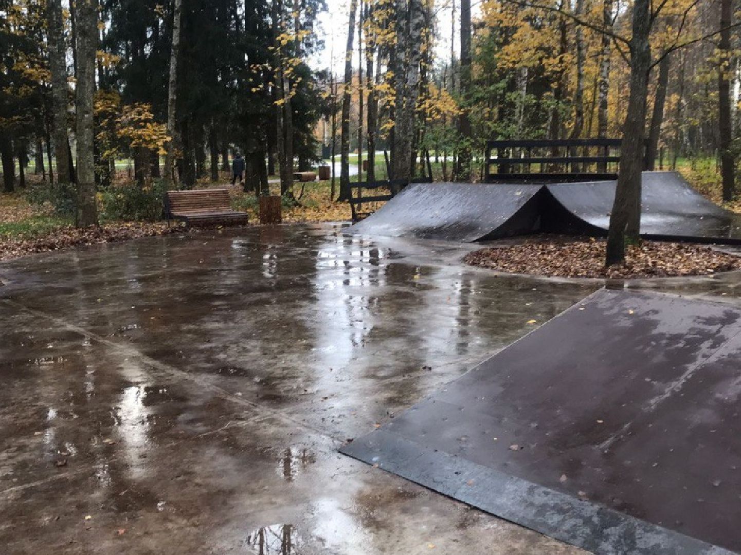 Черноголовка, план добрых дел, уборка листы,