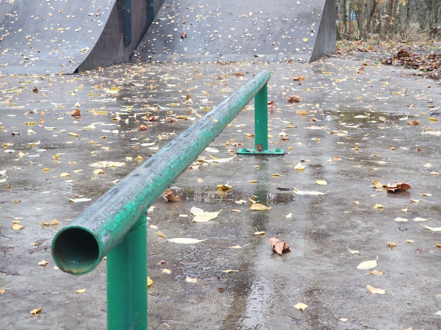 Черноголовка, план добрых дел, уборка листы,