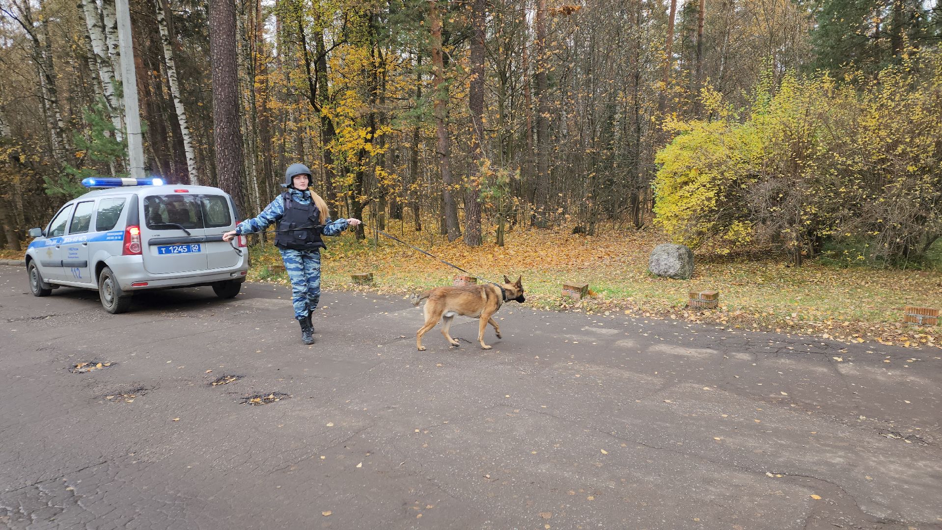 ивантеевка, антитеррористическая безопасность, силовые структуры, антитеррористическая тренировка, организация, росгвардия, мвд, мчс, кинологическая служба,