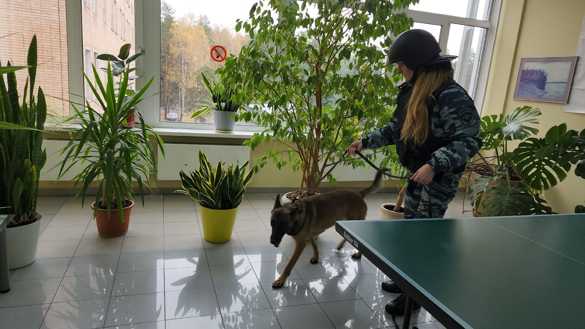 ивантеевка, антитеррористическая безопасность, силовые структуры, антитеррористическая тренировка, организация, росгвардия, мвд, мчс, кинологическая служба,