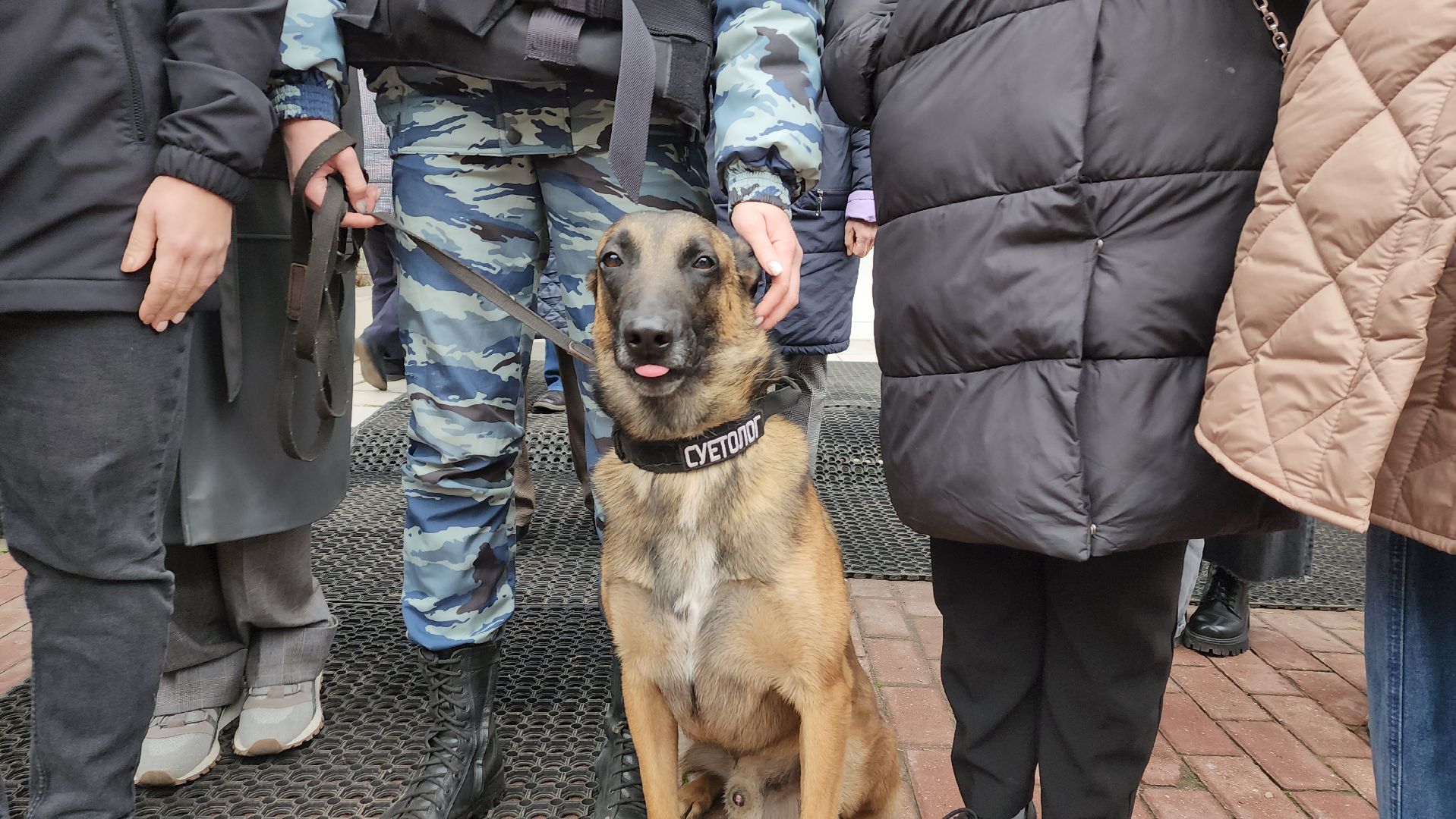 ивантеевка, антитеррористическая безопасность, силовые структуры, антитеррористическая тренировка, организация, росгвардия, мвд, мчс, кинологическая служба,