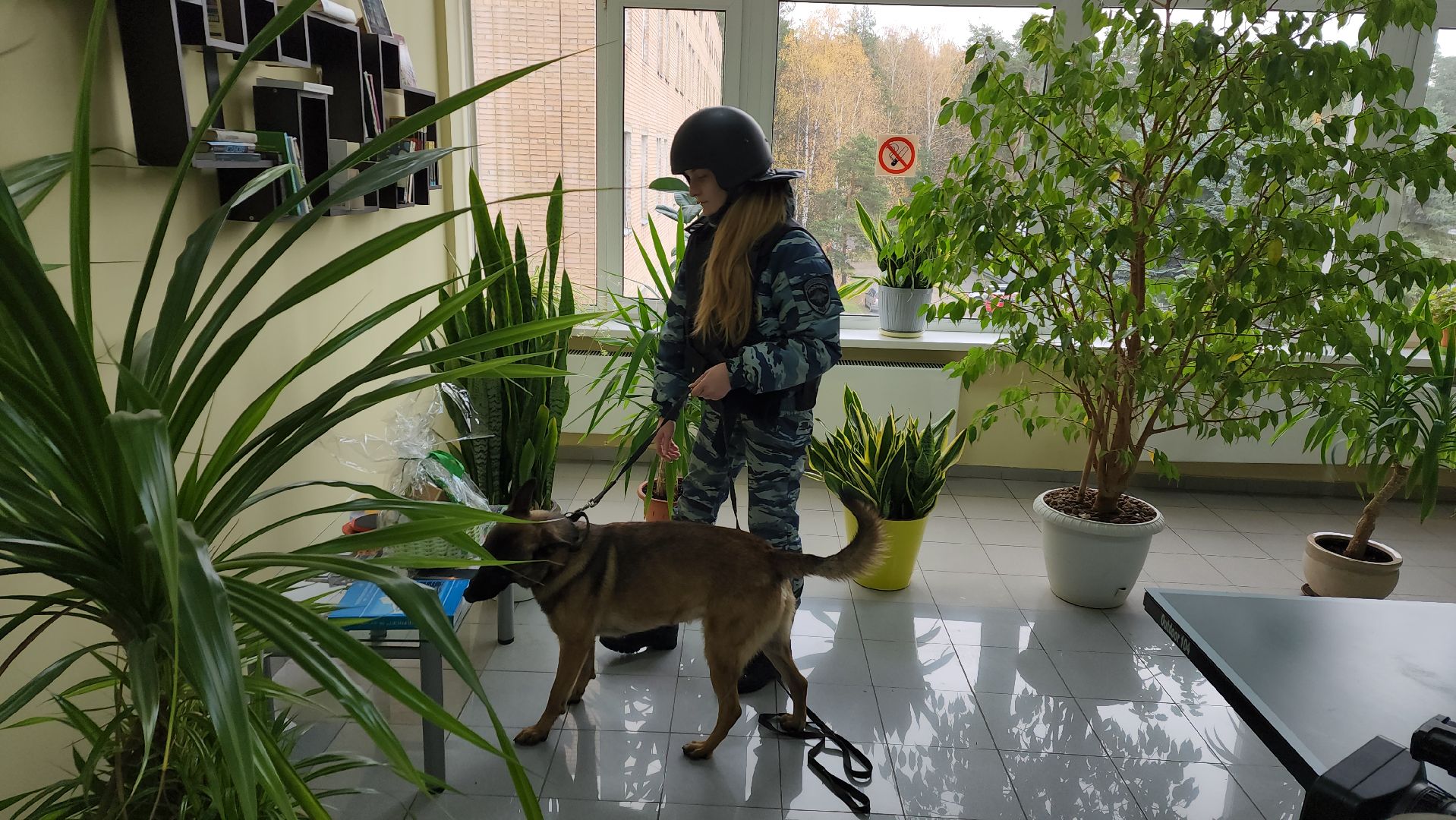 ивантеевка, антитеррористическая безопасность, силовые структуры, антитеррористическая тренировка, организация, росгвардия, мвд, мчс, кинологическая служба,