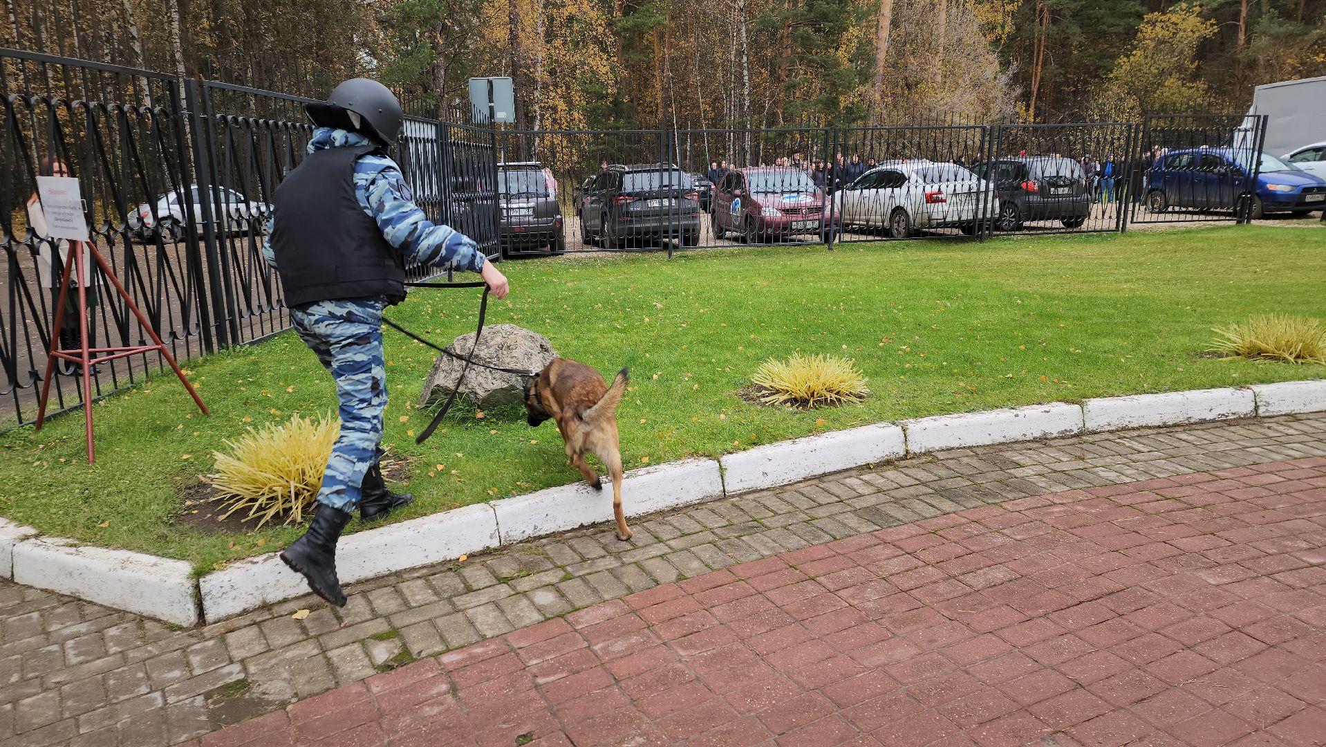 ивантеевка, антитеррористическая безопасность, силовые структуры, антитеррористическая тренировка, организация, росгвардия, мвд, мчс, кинологическая служба,
