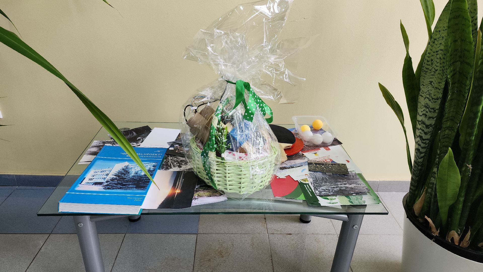 ивантеевка, антитеррористическая безопасность, силовые структуры, антитеррористическая тренировка, организация, росгвардия, мвд, мчс, кинологическая служба,