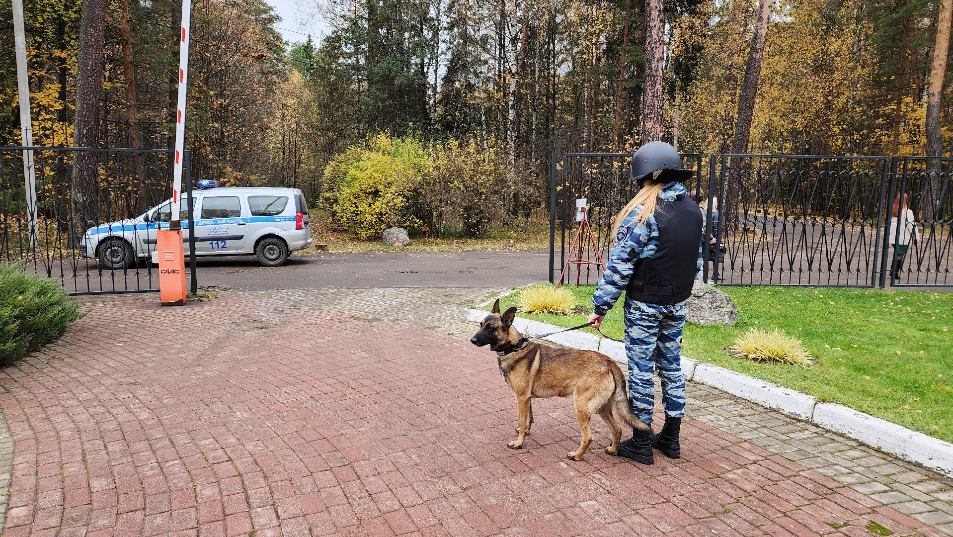 ивантеевка, антитеррористическая безопасность, силовые структуры, антитеррористическая тренировка, организация, росгвардия, мвд, мчс, кинологическая служба,