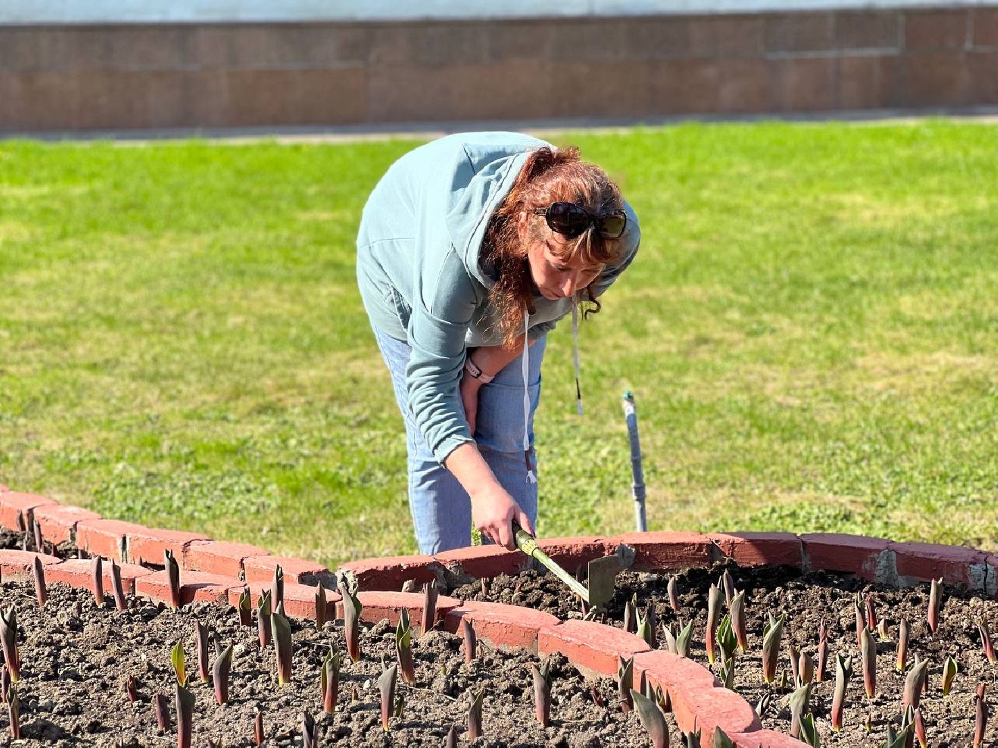 Подольск, цветы,клумбы, озеленение