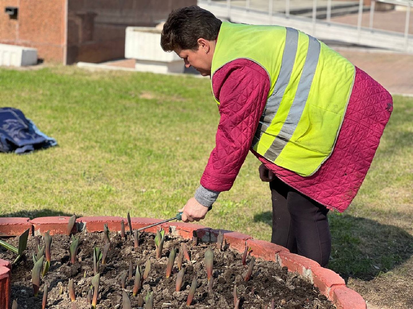 Подольск, цветы,клумбы, озеленение