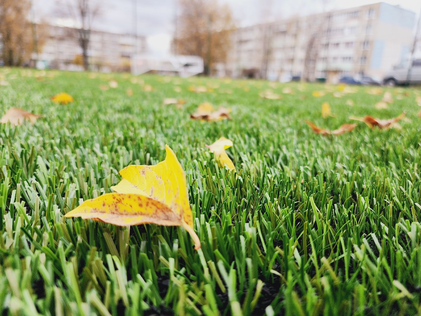 Егорьевск, Подмосковье, Московская область,благоустройство,