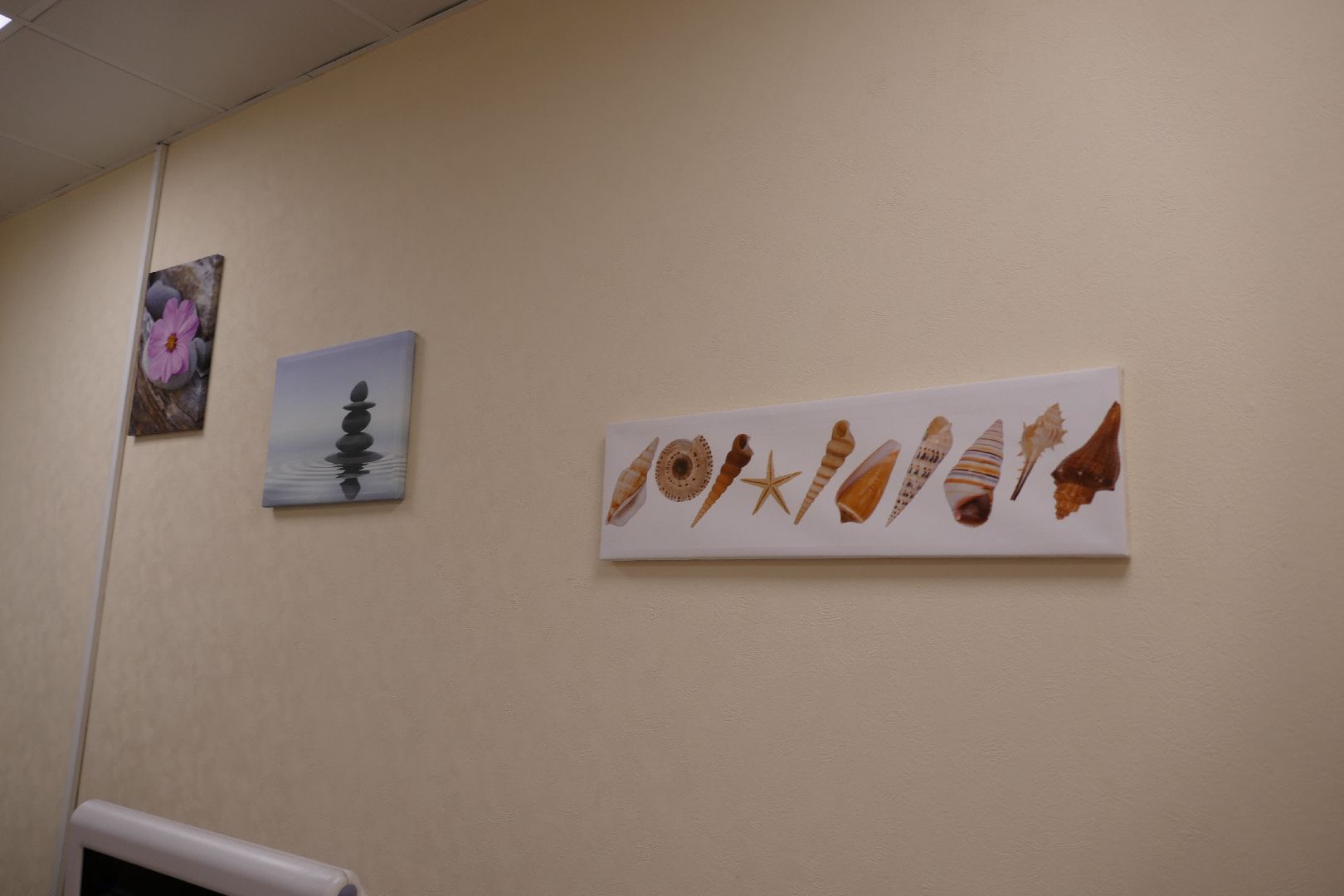 Подольск, медицина, УЗИ, здоровье