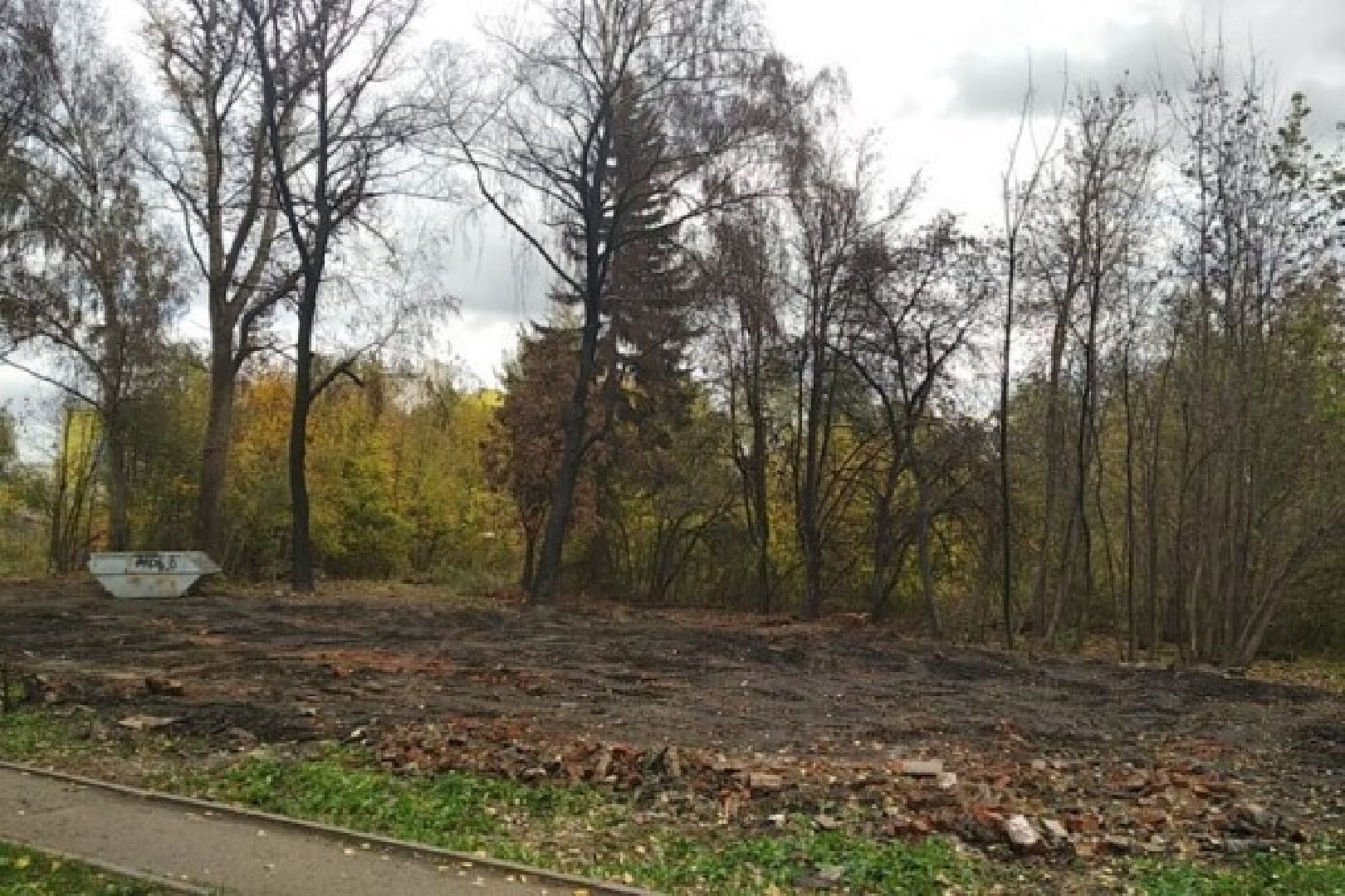 Волонтеры, благоустройство, голосование, Орехово-Зуево