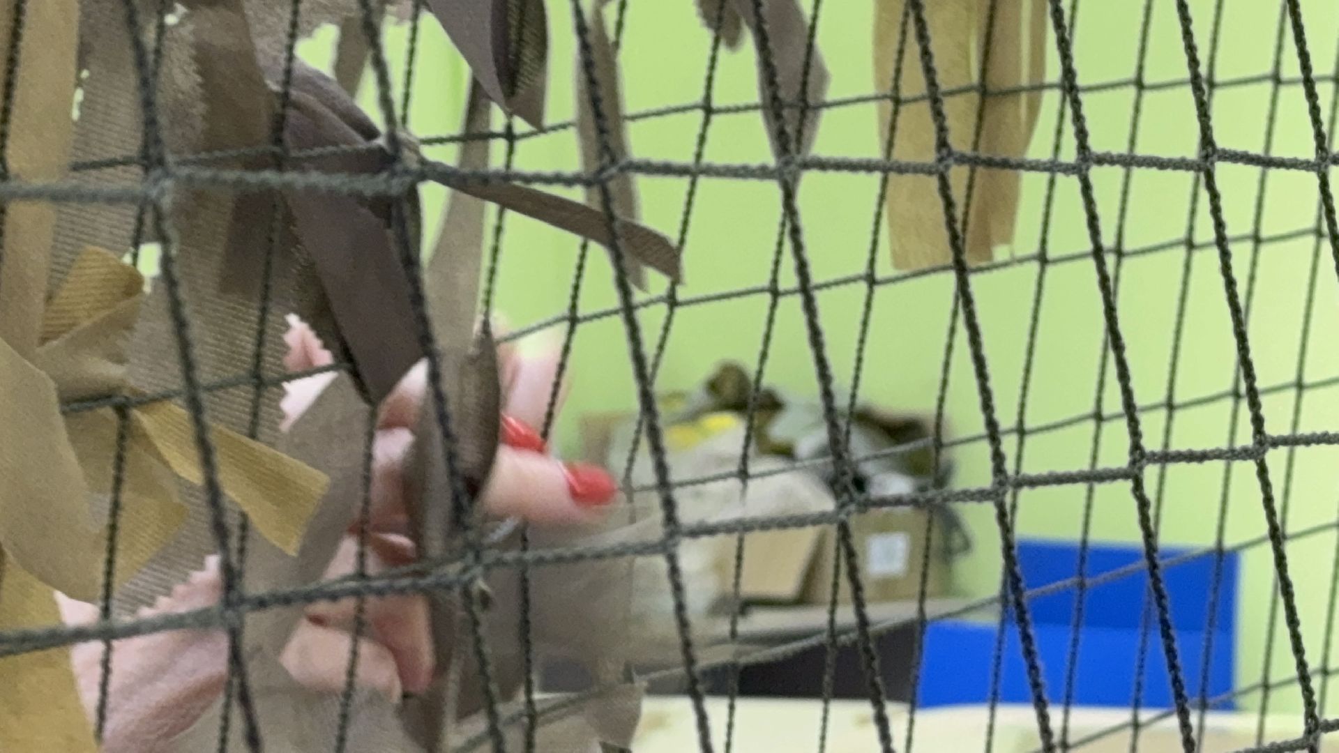 Солнечногорск, Помощь бойцам, Плетение сетей, гуманитаная помощь, волонтеры,