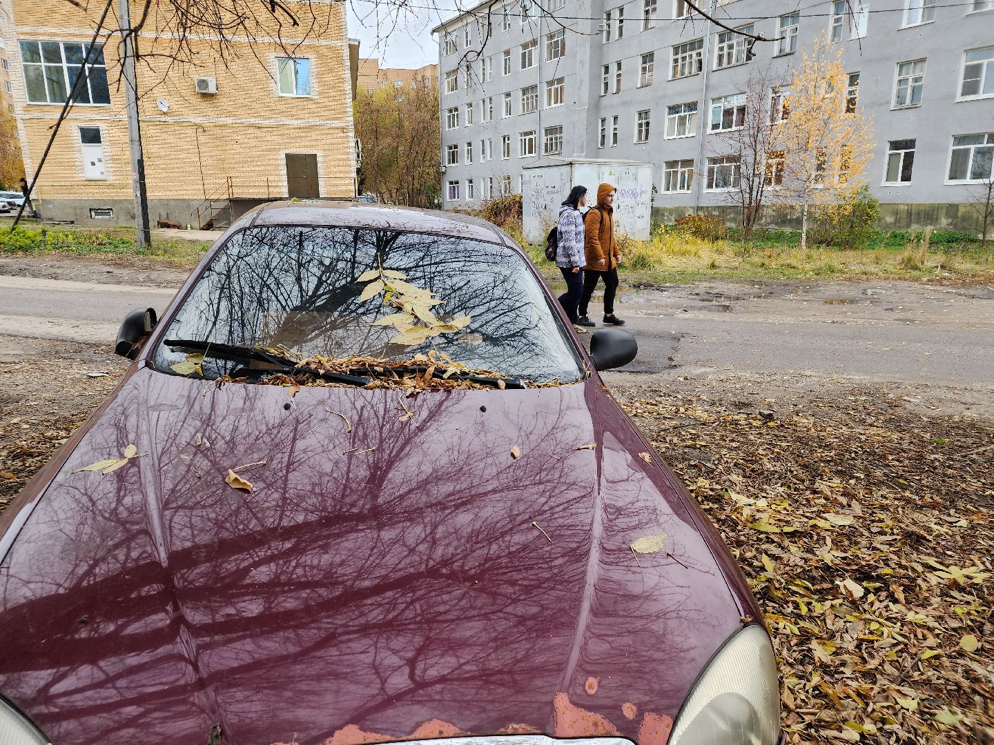 дворыподмосковья, орехово-зуевский округ,