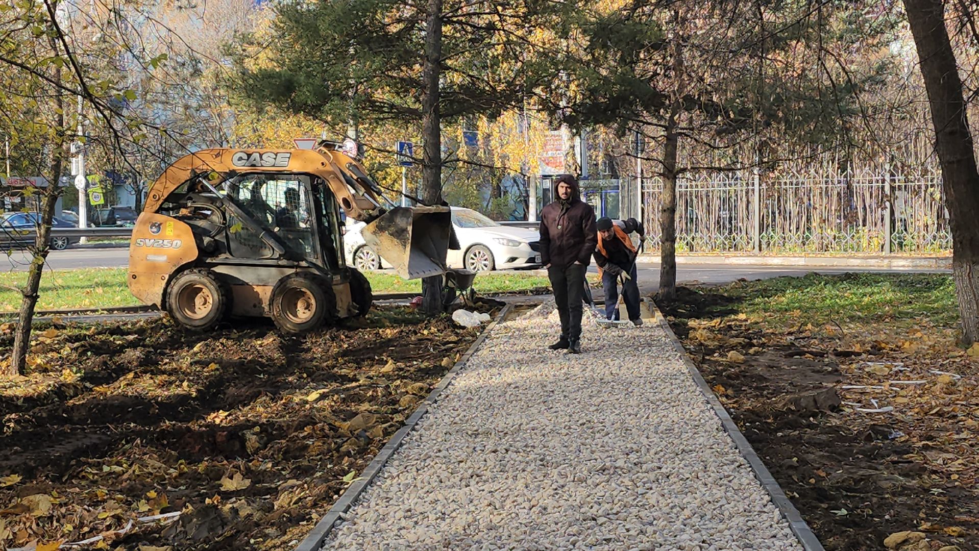 люберцы, народная тропа, асфальт,