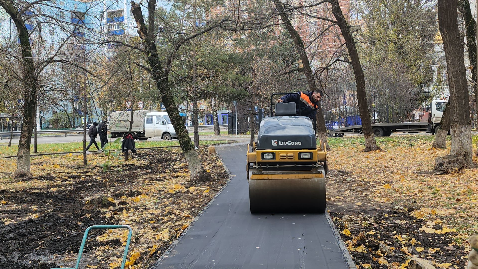 люберцы, народная тропа, асфальт,