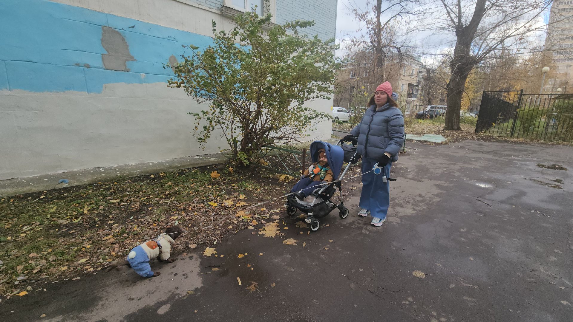 люберцы, народная тропа, асфальт,