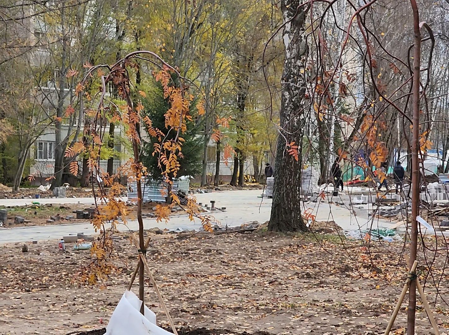 Дубна, Благоустройство, Сквер журавлева, вертикалка,