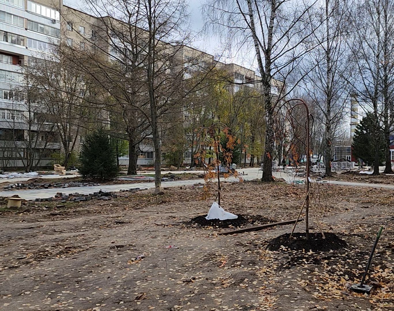 Дубна, Благоустройство, Сквер журавлева, вертикалка,