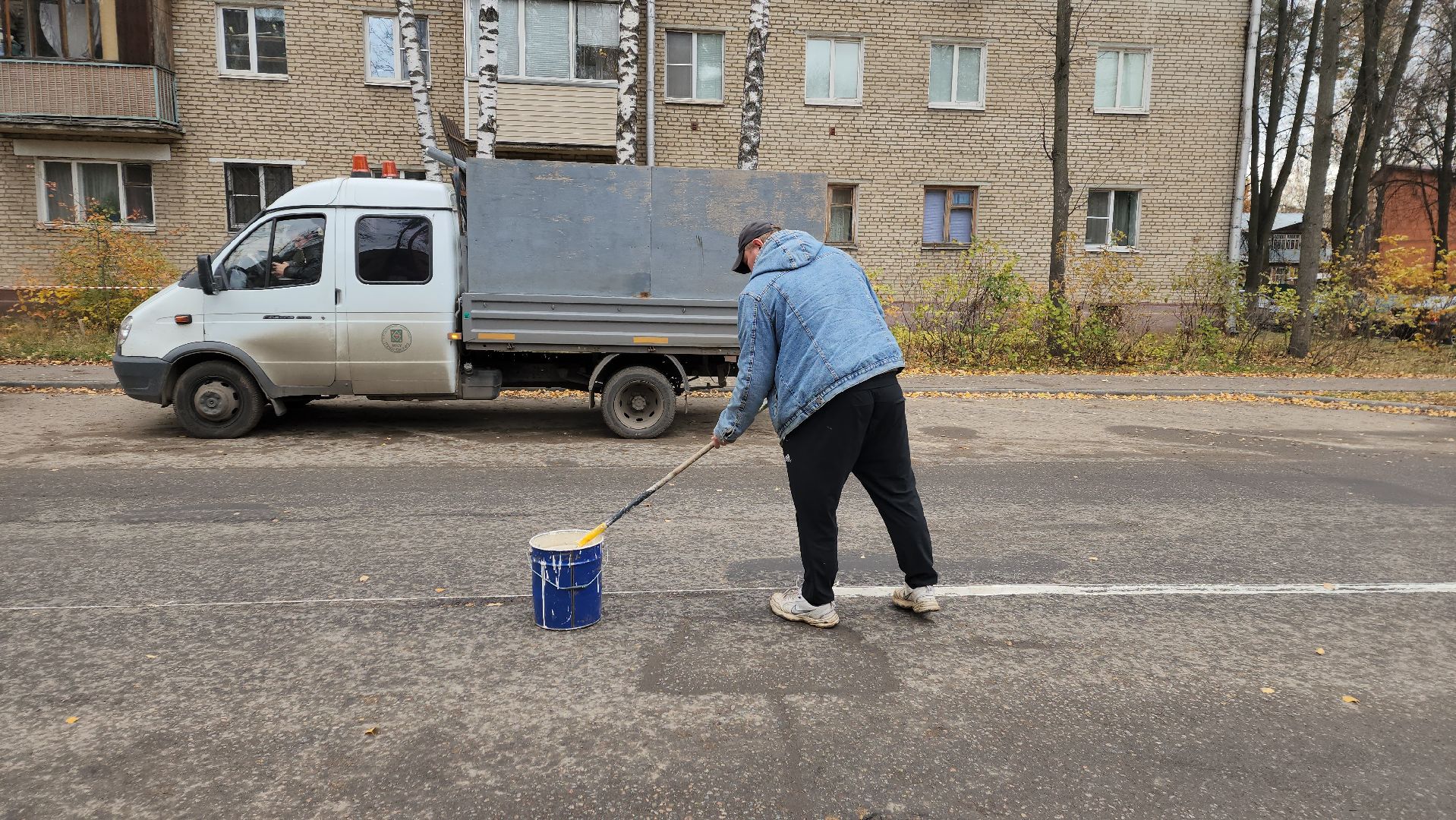 пушкино, дорожная разметка, безопасное движение, дорожное движение, пешеход,