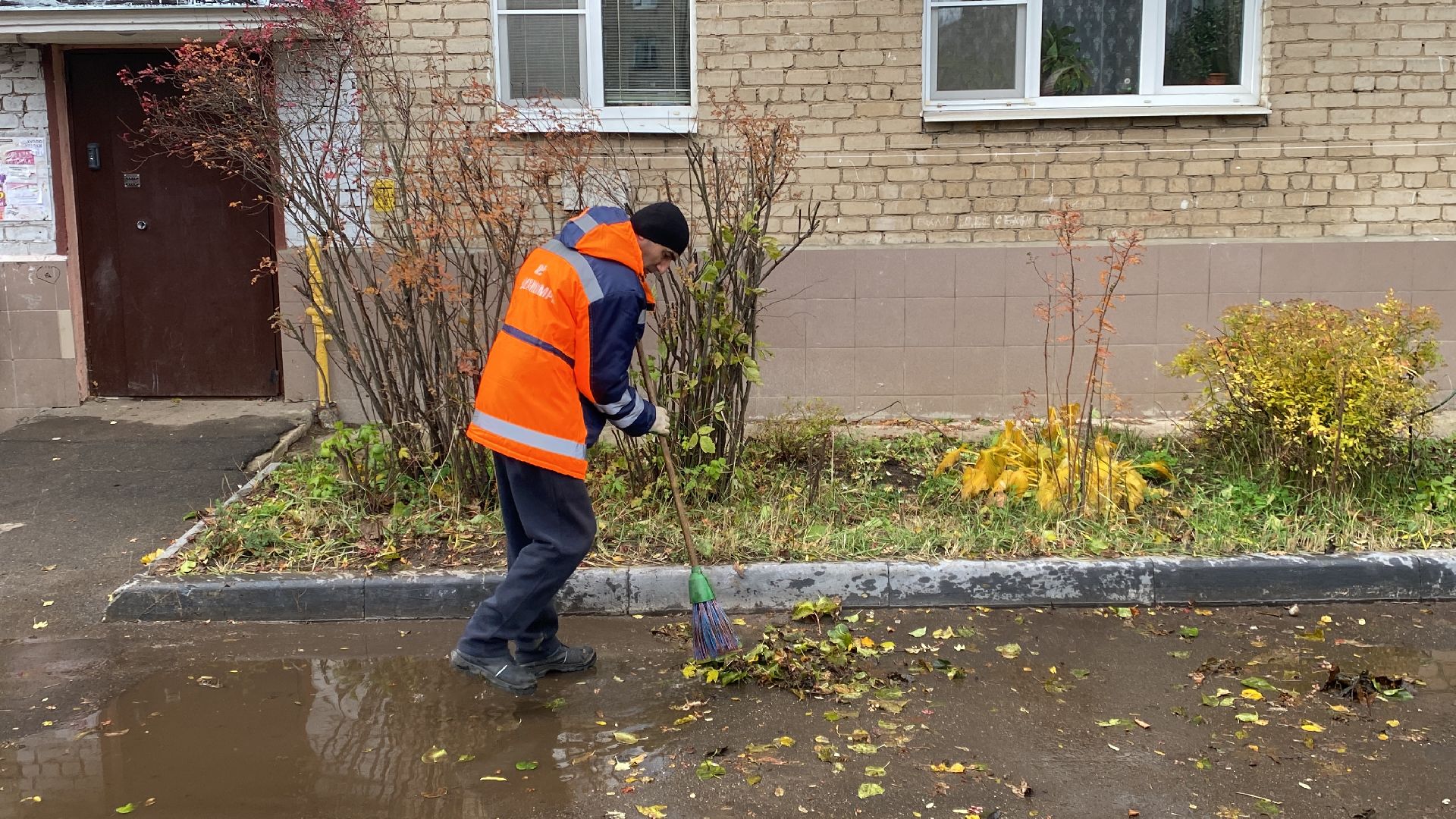 Листья, Уборка, Уборка листвы, вертикалка,