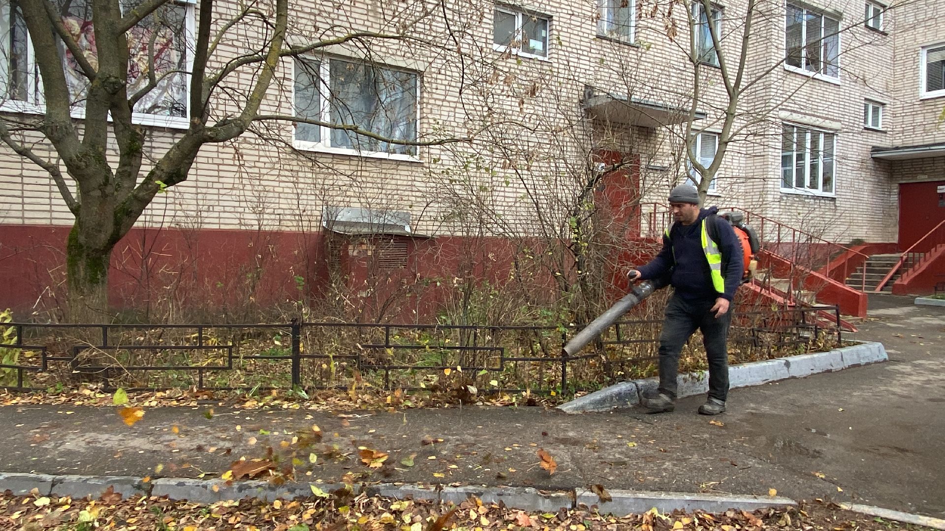Листья, Уборка, Уборка листвы, вертикалка,
