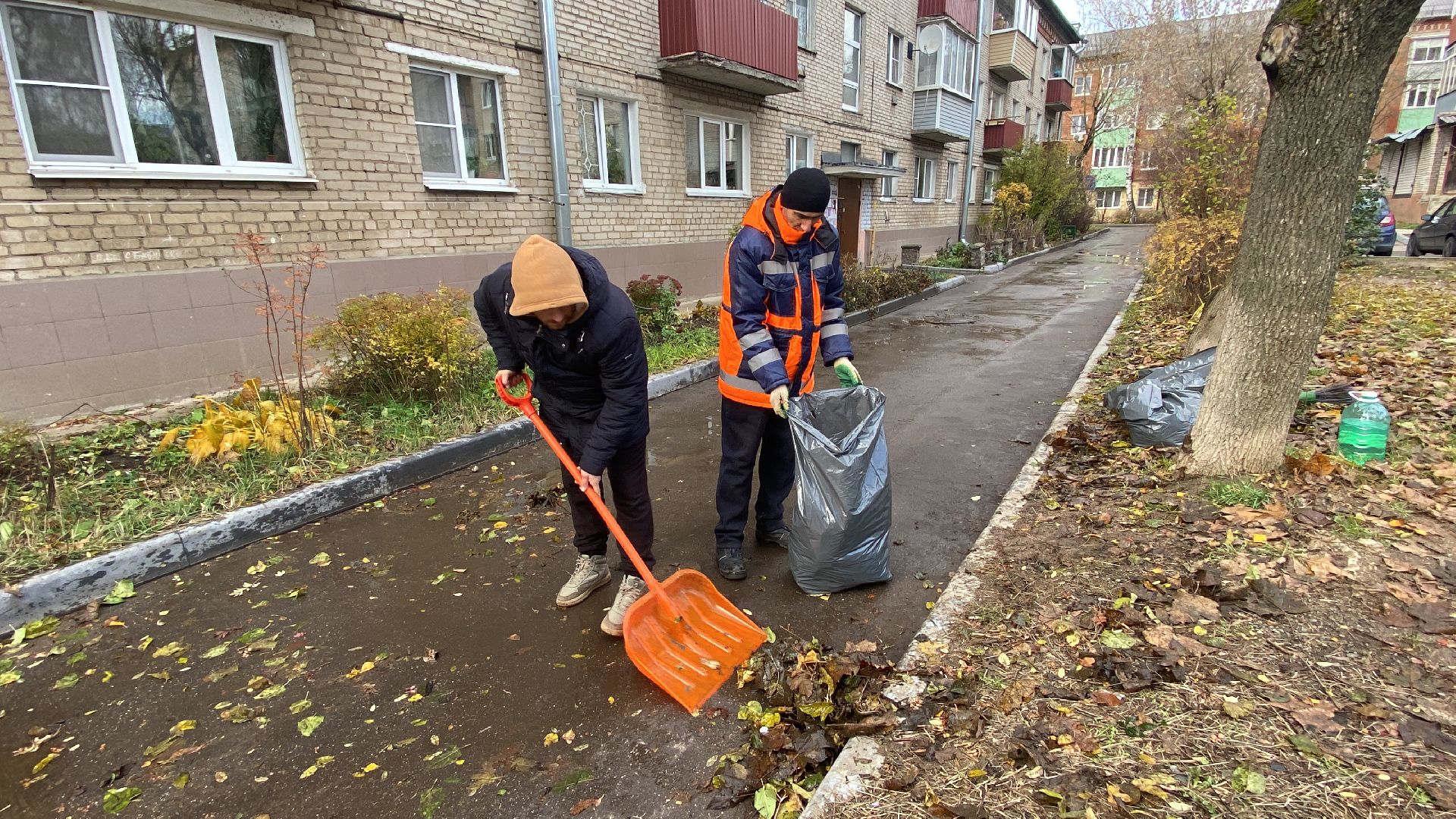 Листья, Уборка, Уборка листвы, вертикалка,