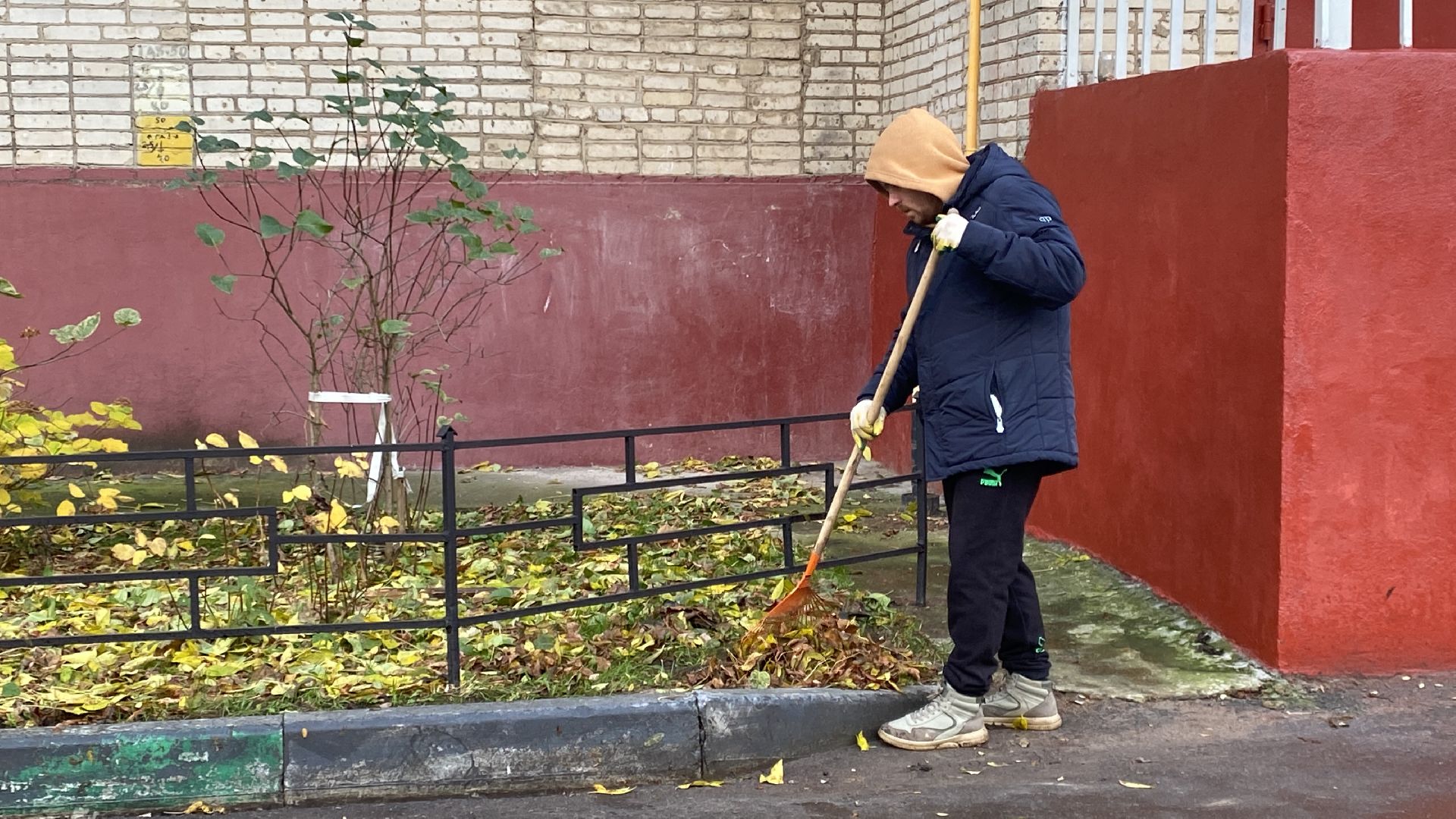 Листья, Уборка, Уборка листвы, вертикалка,