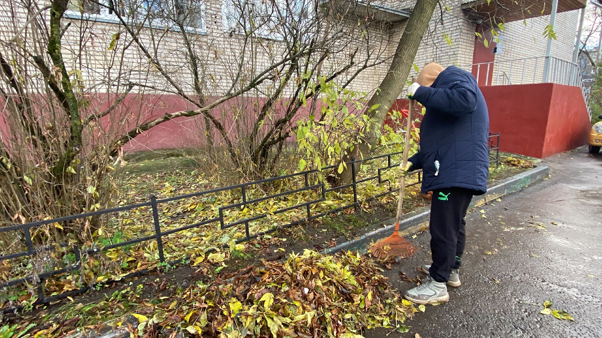 Листья, Уборка, Уборка листвы, вертикалка,