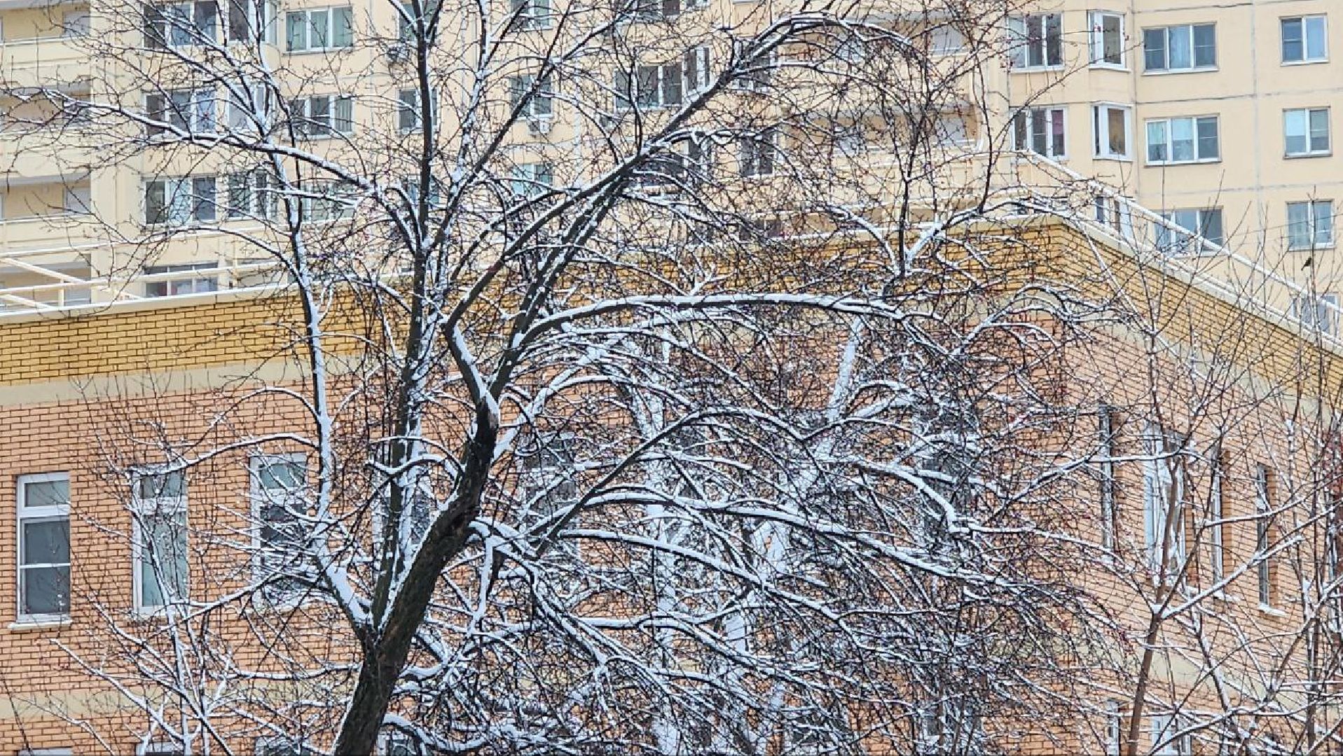 Реутов, ЖКХ, снегопад, уборка снега, дворники, вертикалки