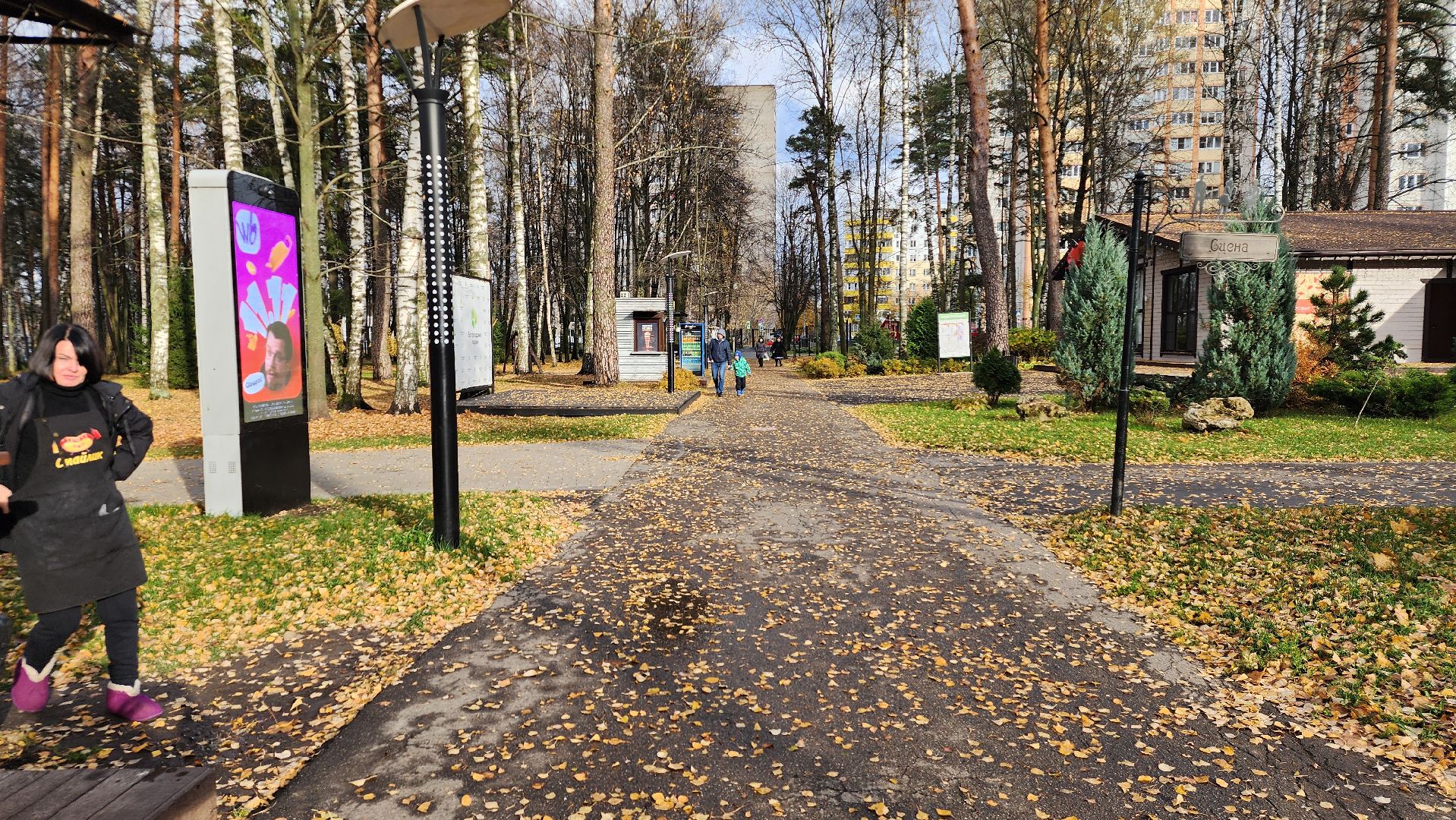 кафе, малый бизнес, хот-дог, Ногинск, Богородский городской округ,вертикаль,