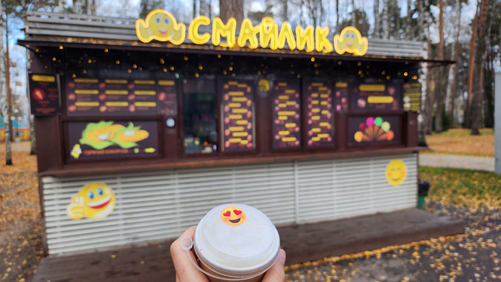 кафе, малый бизнес, хот-дог, Ногинск, Богородский городской округ,вертикаль,