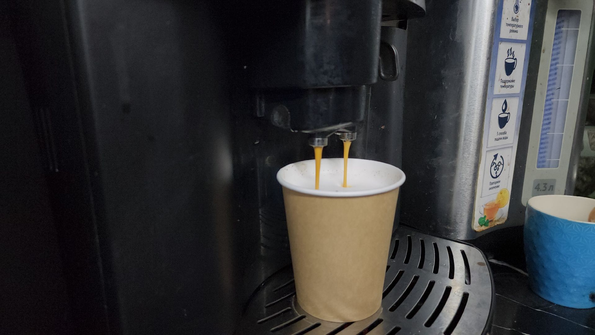 кафе, малый бизнес, хот-дог, Ногинск, Богородский городской округ,вертикаль,