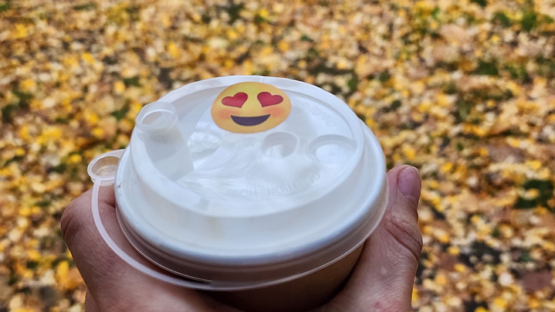 кафе, малый бизнес, хот-дог, Ногинск, Богородский городской округ,вертикаль,