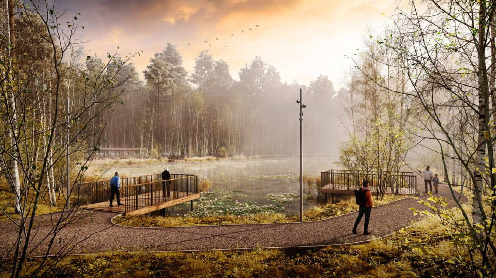 благоустройство, орехово зуево, Парковский лес,Вертикалка, вертикальное видео,