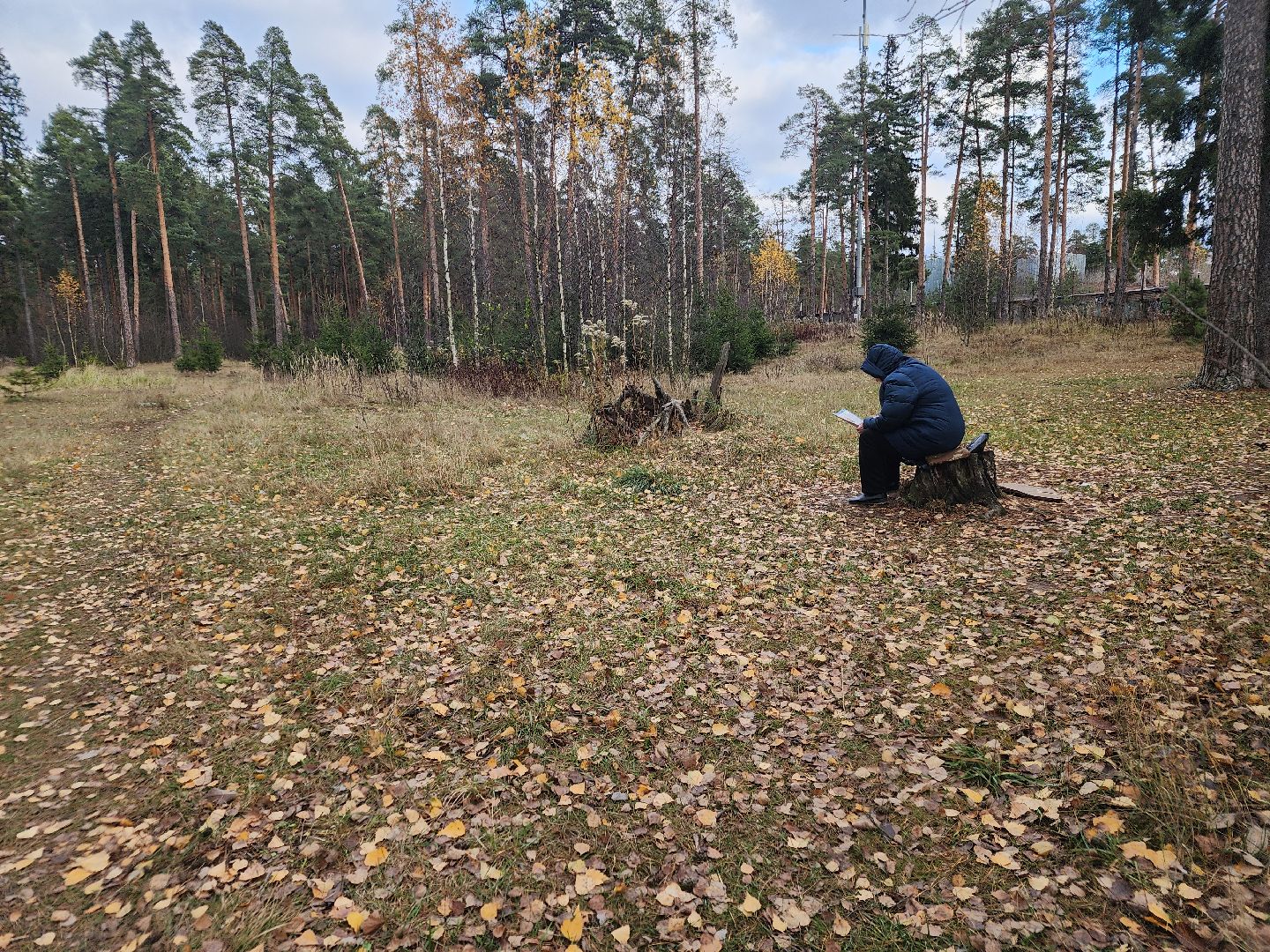 благоустройство, орехово зуево, Парковский лес,Вертикалка, вертикальное видео,