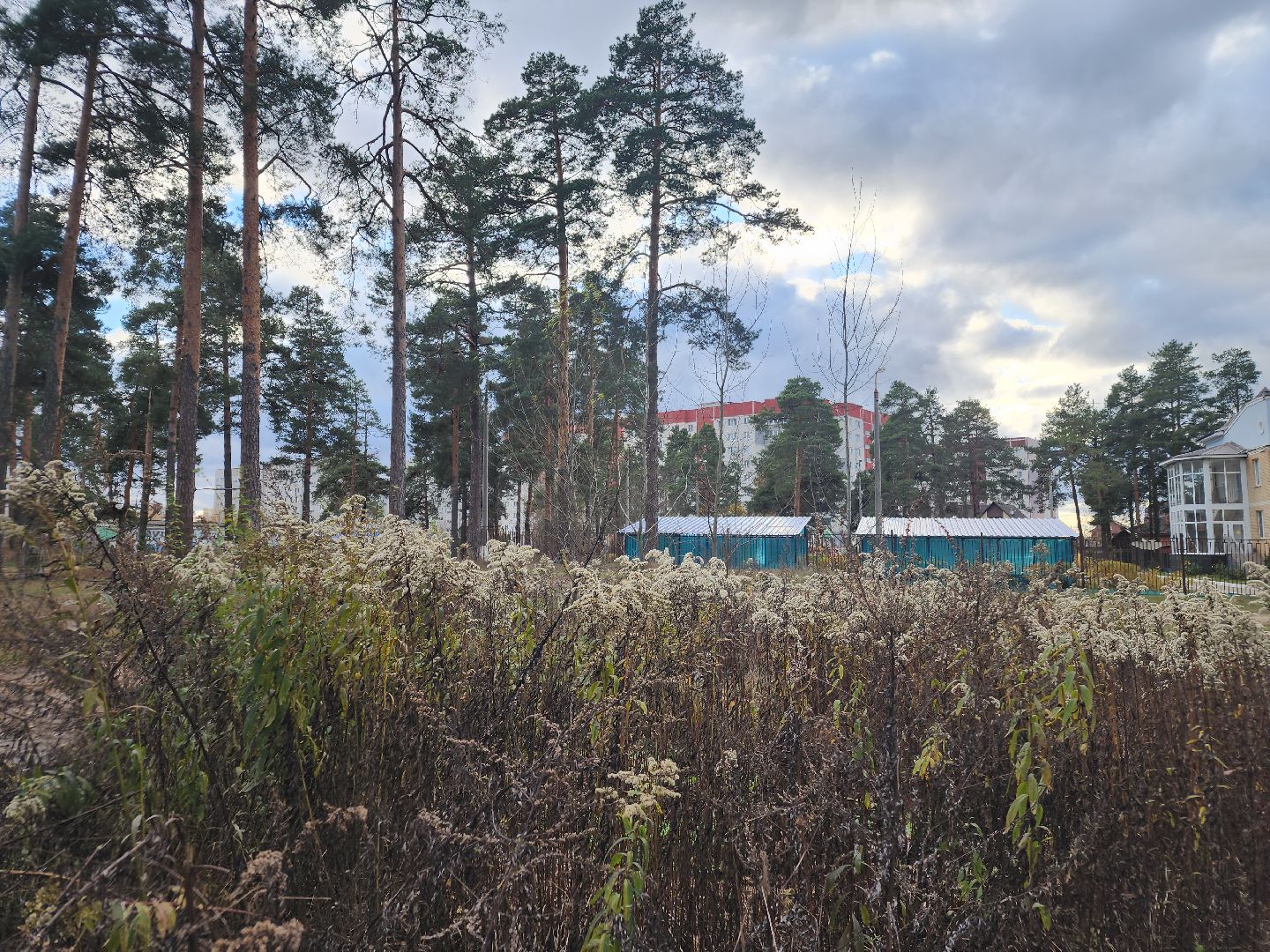 благоустройство, орехово зуево, Парковский лес,Вертикалка, вертикальное видео,