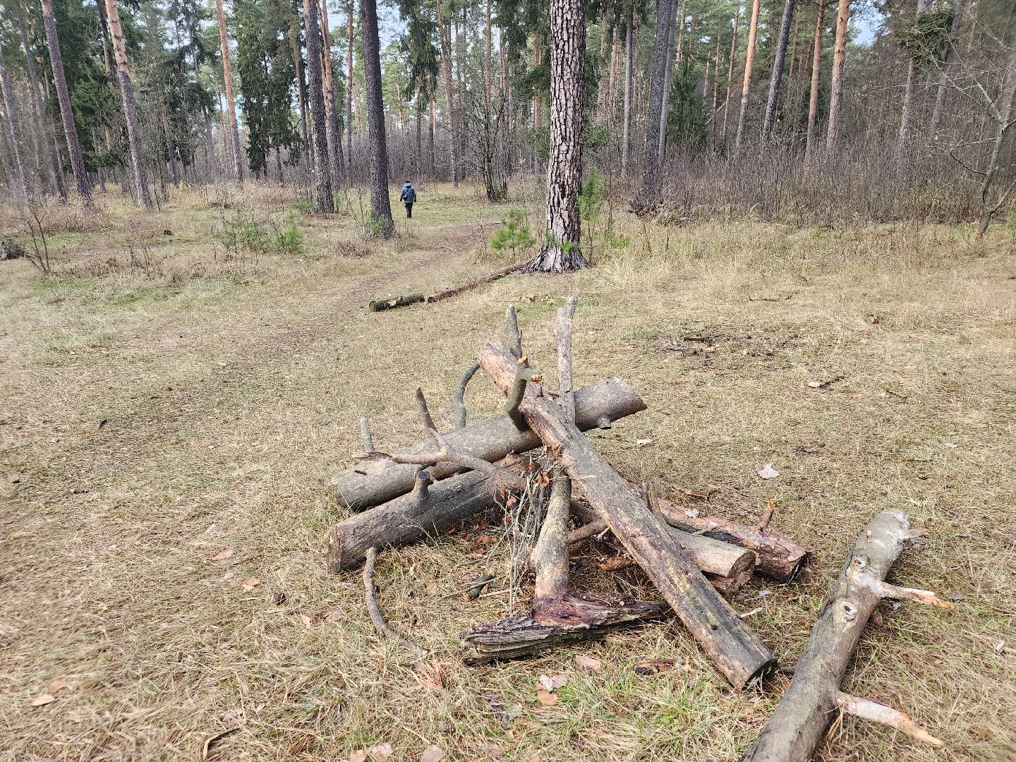 благоустройство, орехово зуево, Парковский лес,Вертикалка, вертикальное видео,