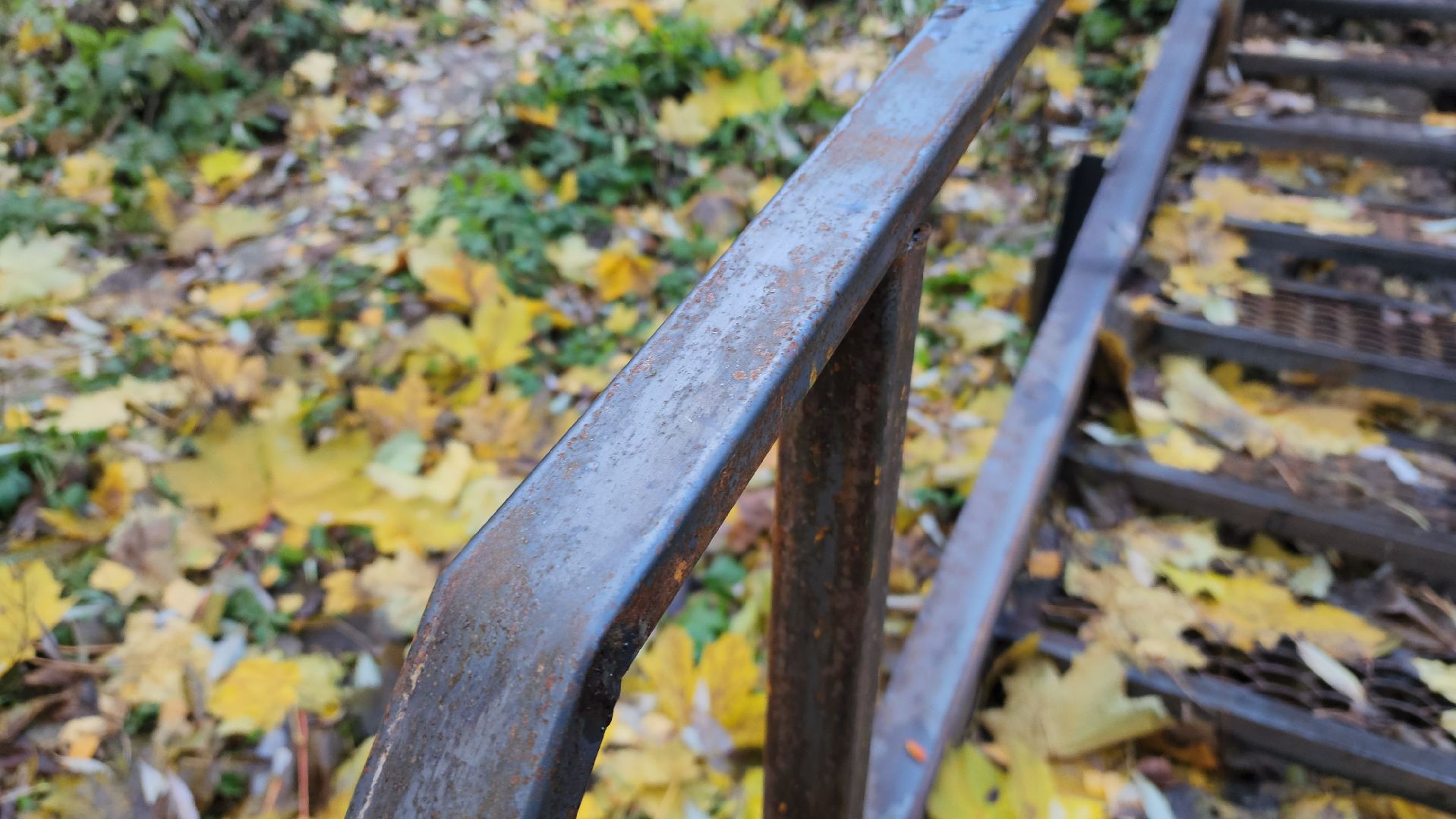 выездная администрация, жкх, благоустройство, химки,вертикалки,