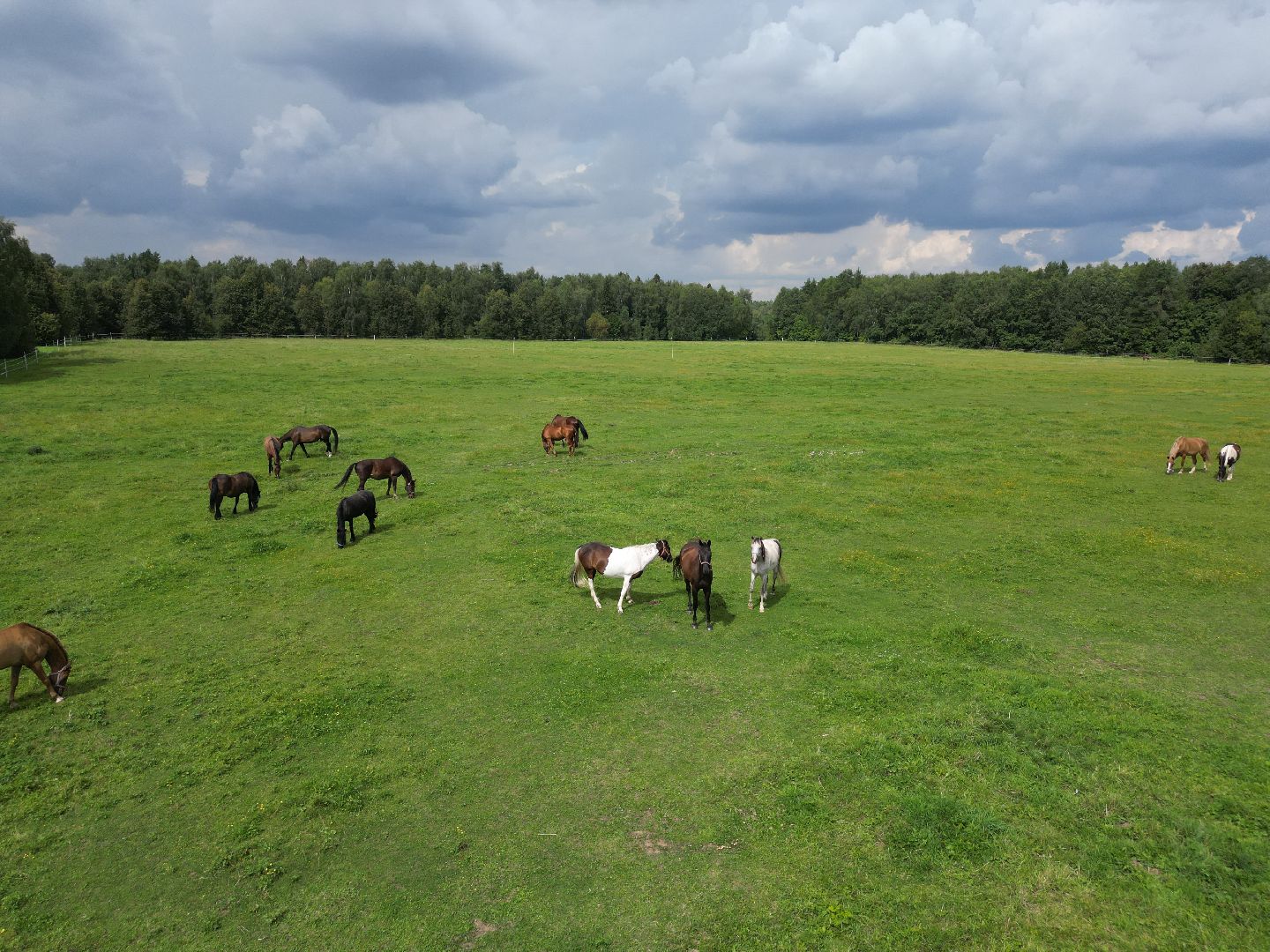 подольск, горки ленинские, музей, видео с коптера,