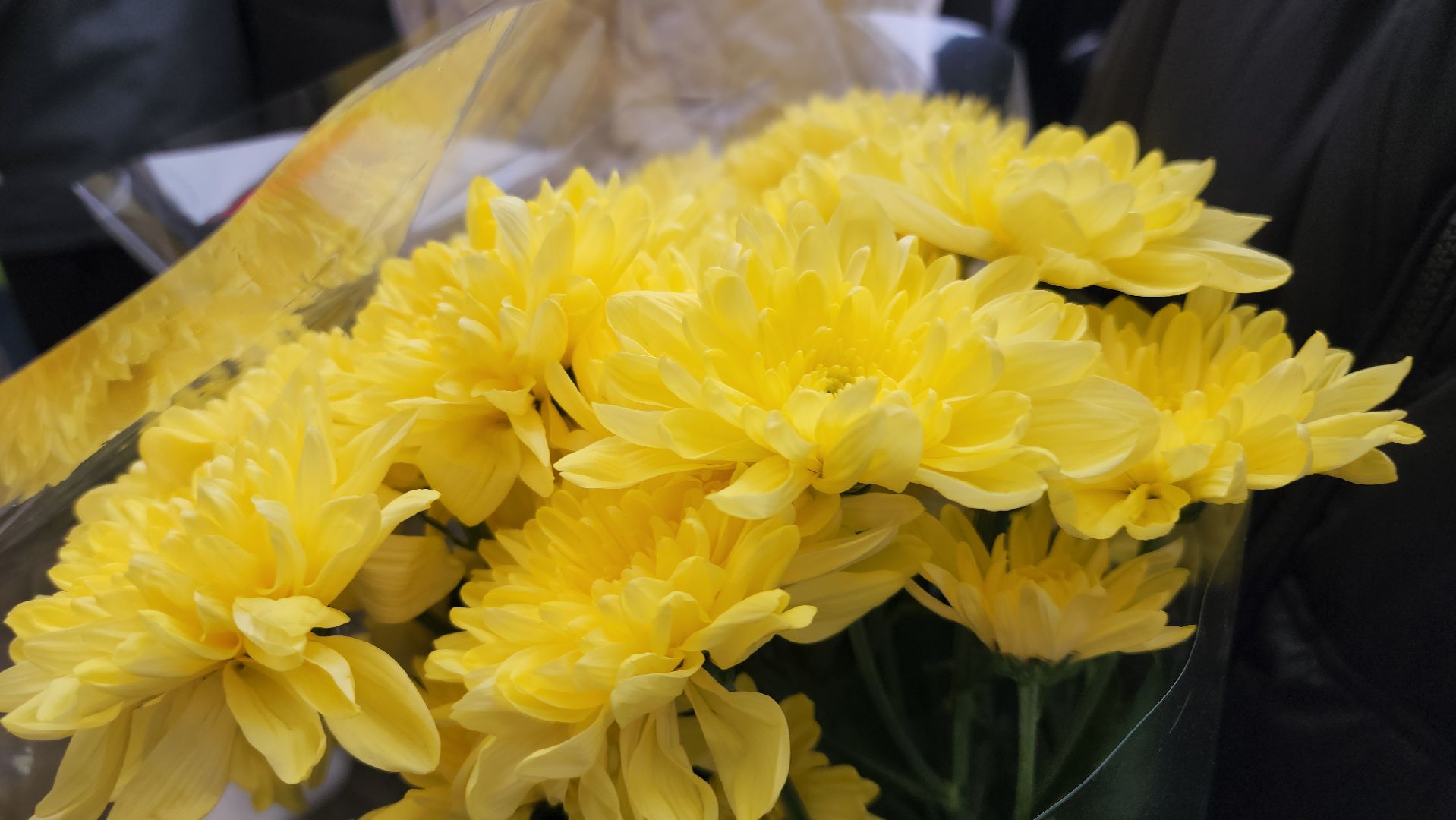 герой вов, школа, тучково, юбилей школы, руза, образование, рузский городской округ,