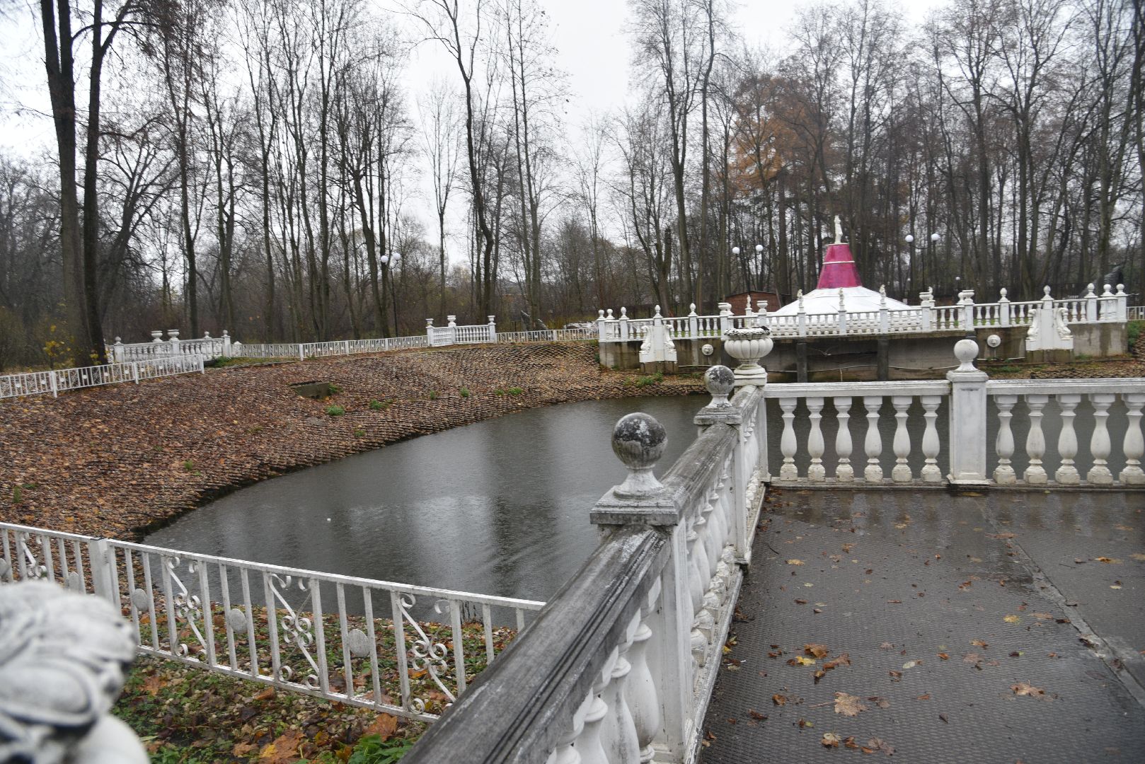 лотошино, лотошинский парк, лебеди, парки подмосковья, птицы подмосковья,