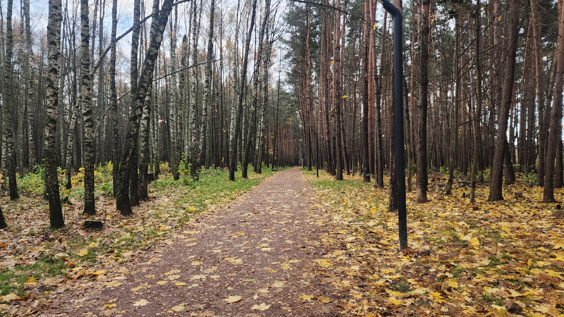 Звенигород, Модные новинки, Мода в Подмосковье,Вертикалка, вертикальное видео,