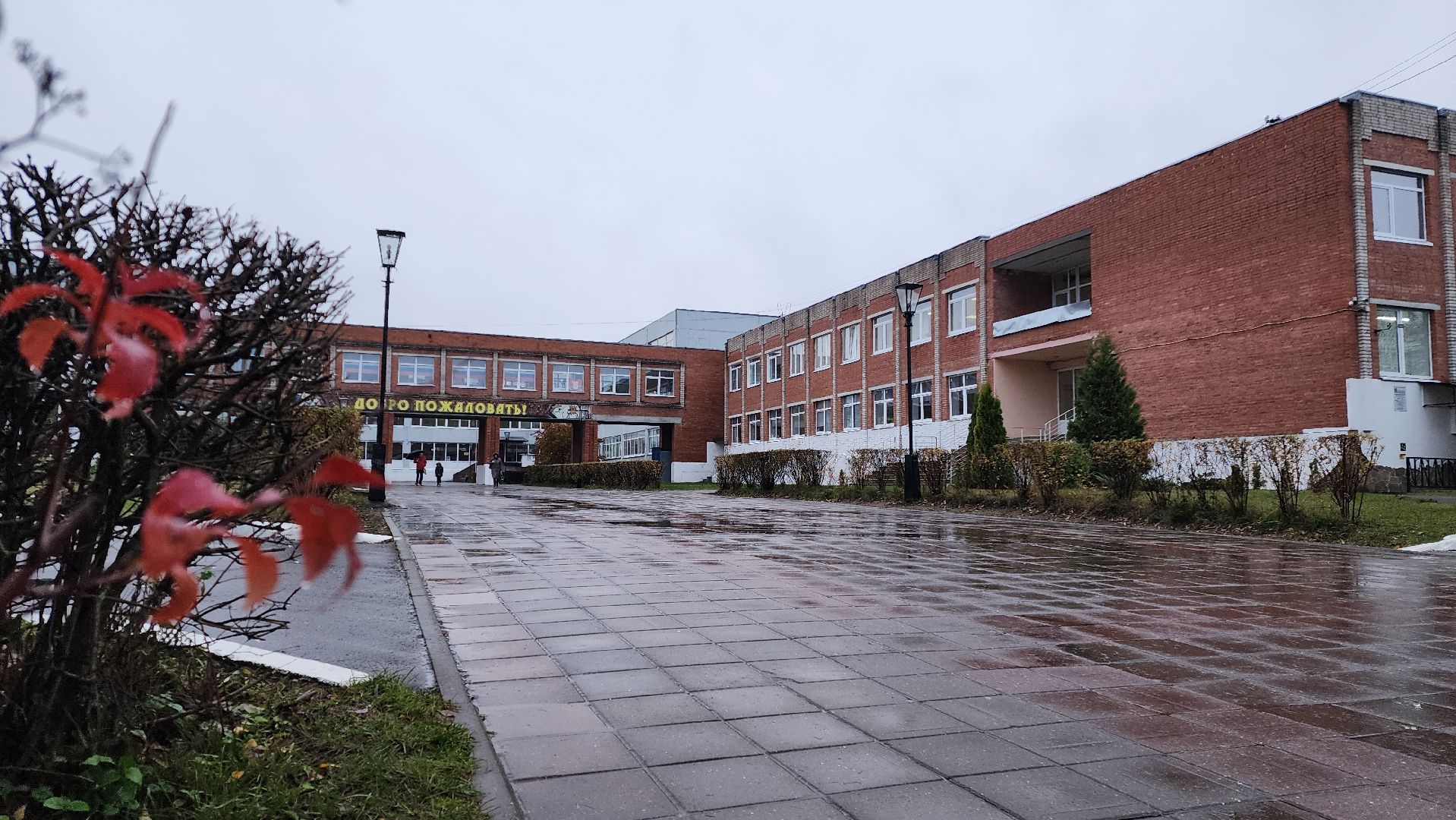 Бронницы, Учитель школы имени Тимофеева, Учитель с 50-летним стажем, учитель бронницкой школы,