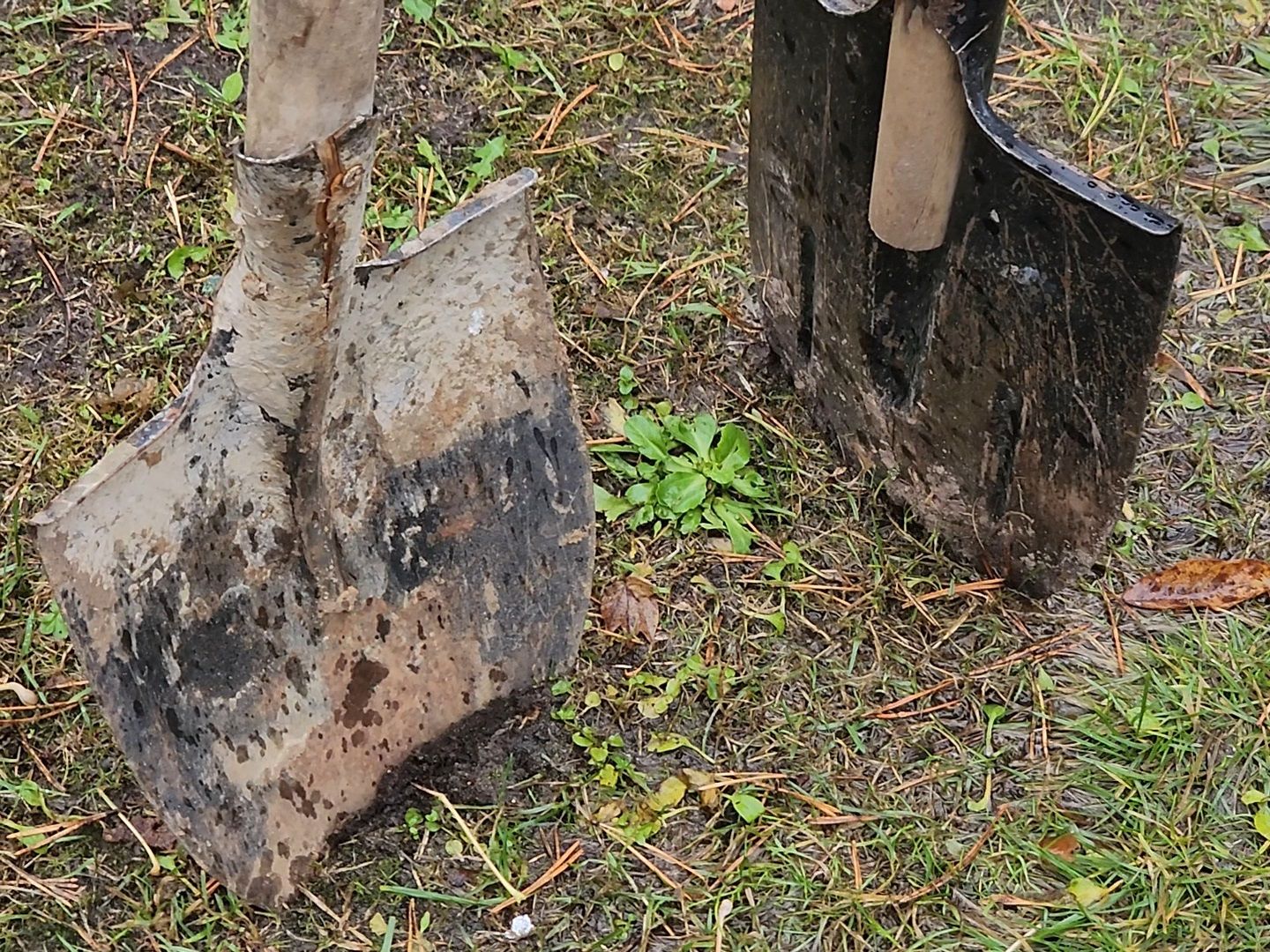 Дубна, Детский сад, Благоустройство, Депутаты, вертикалка,