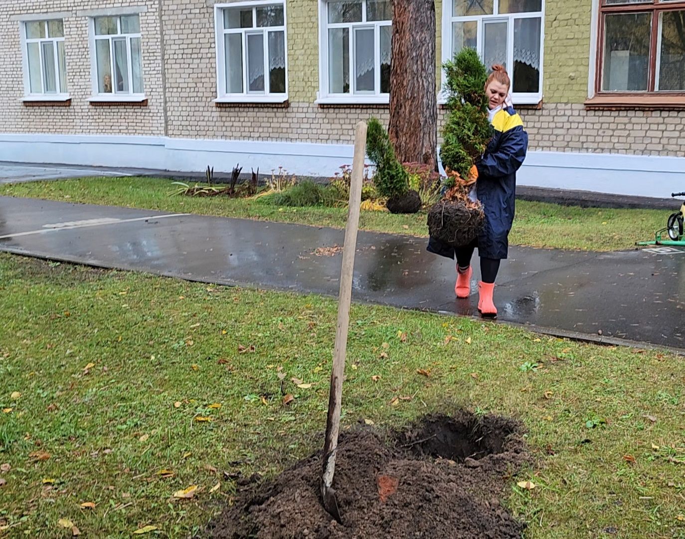 Дубна, Детский сад, Благоустройство, Депутаты, вертикалка,