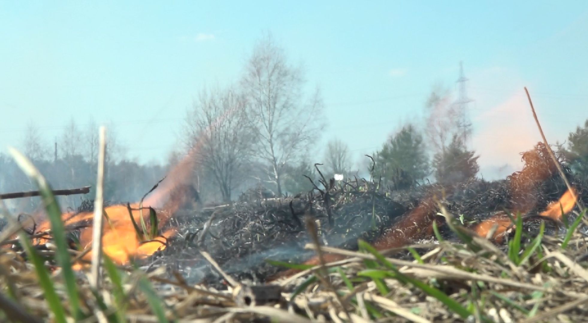 пол травы, Пожарные, опасность