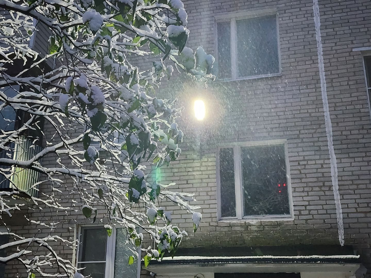 пушкино, вертикалки