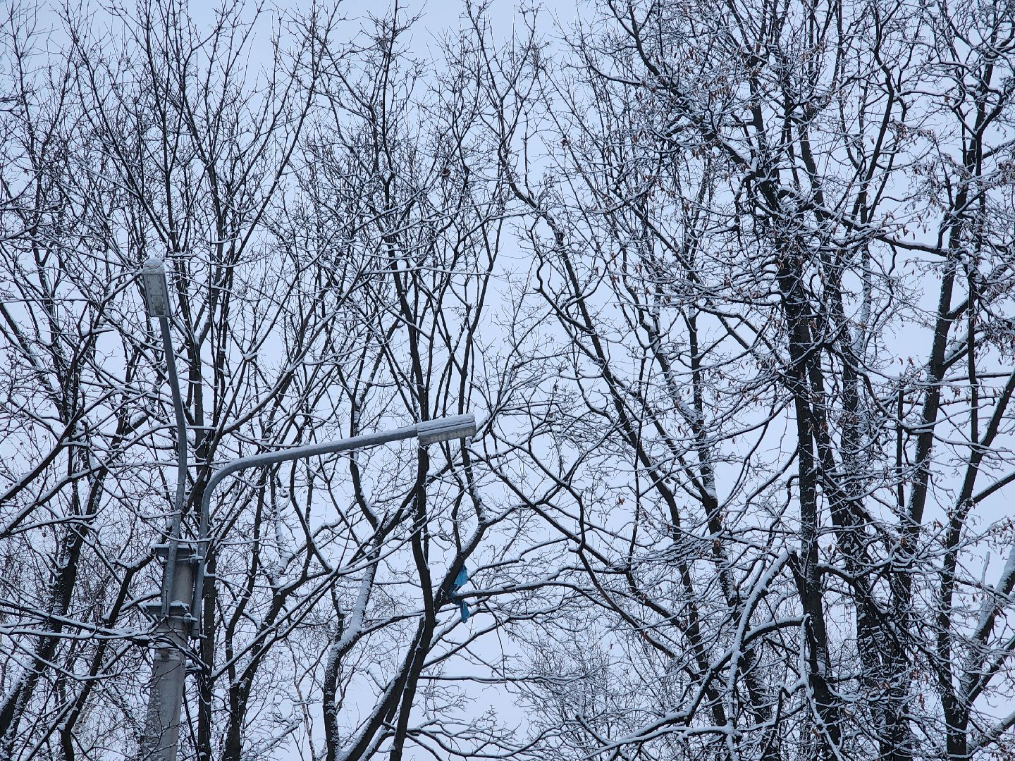 пушкино, вертикалки