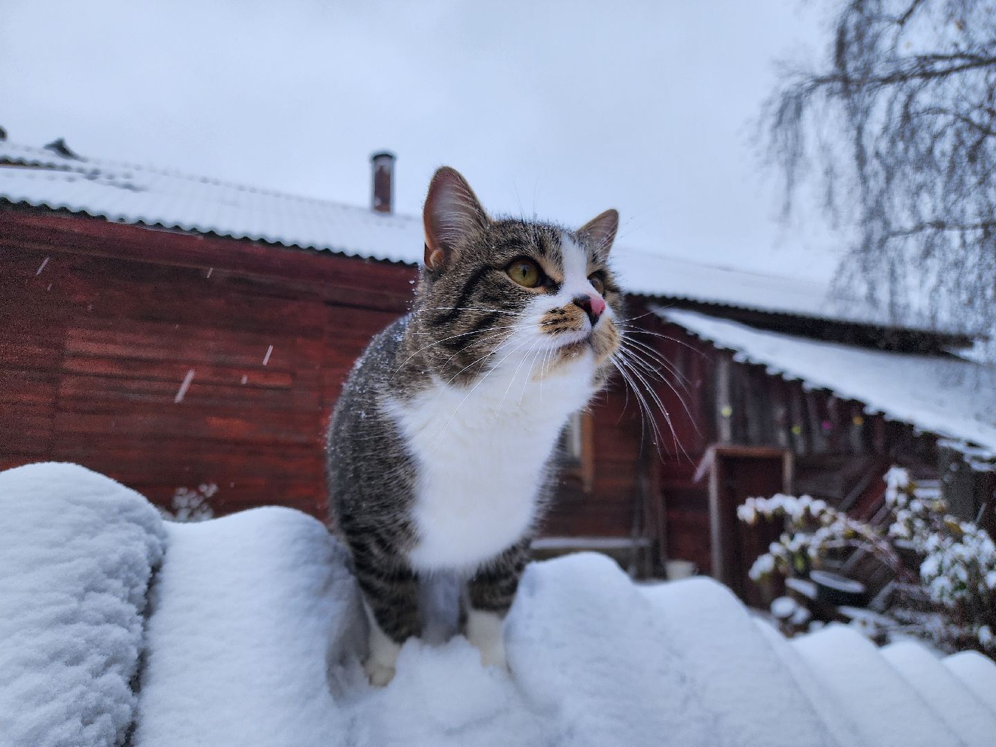 ногинск, снегопад, жители, общество, коммунальная служба, уборка снега, благосфера,вертикалкиЖКХ,
