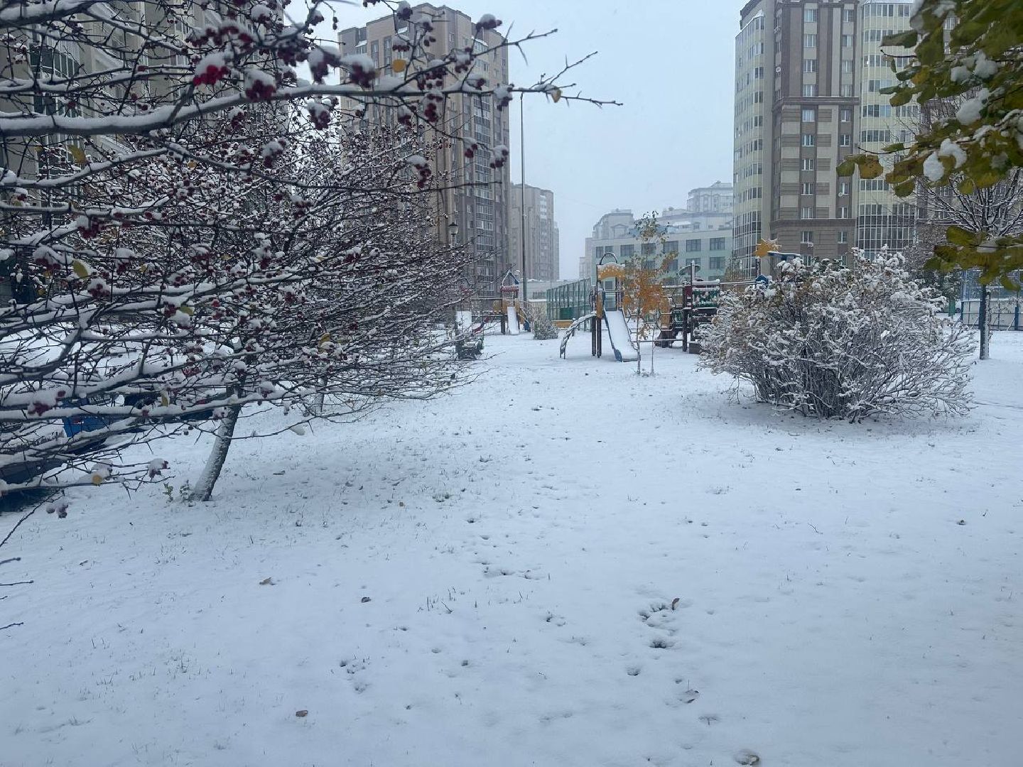 уборка снега, коммунальные службы, вертикалки,